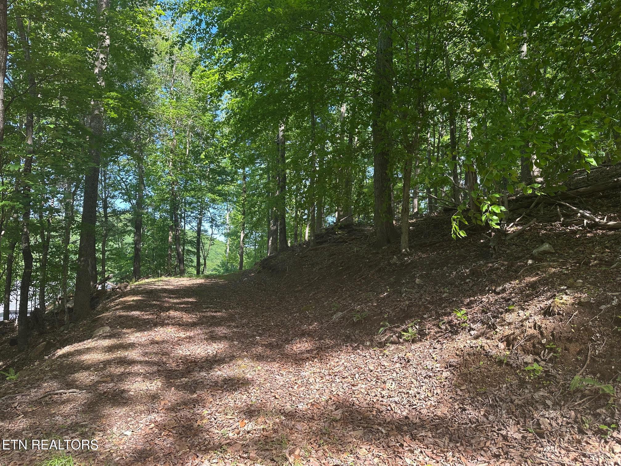 Norris Lake Real Estate - Image# 6