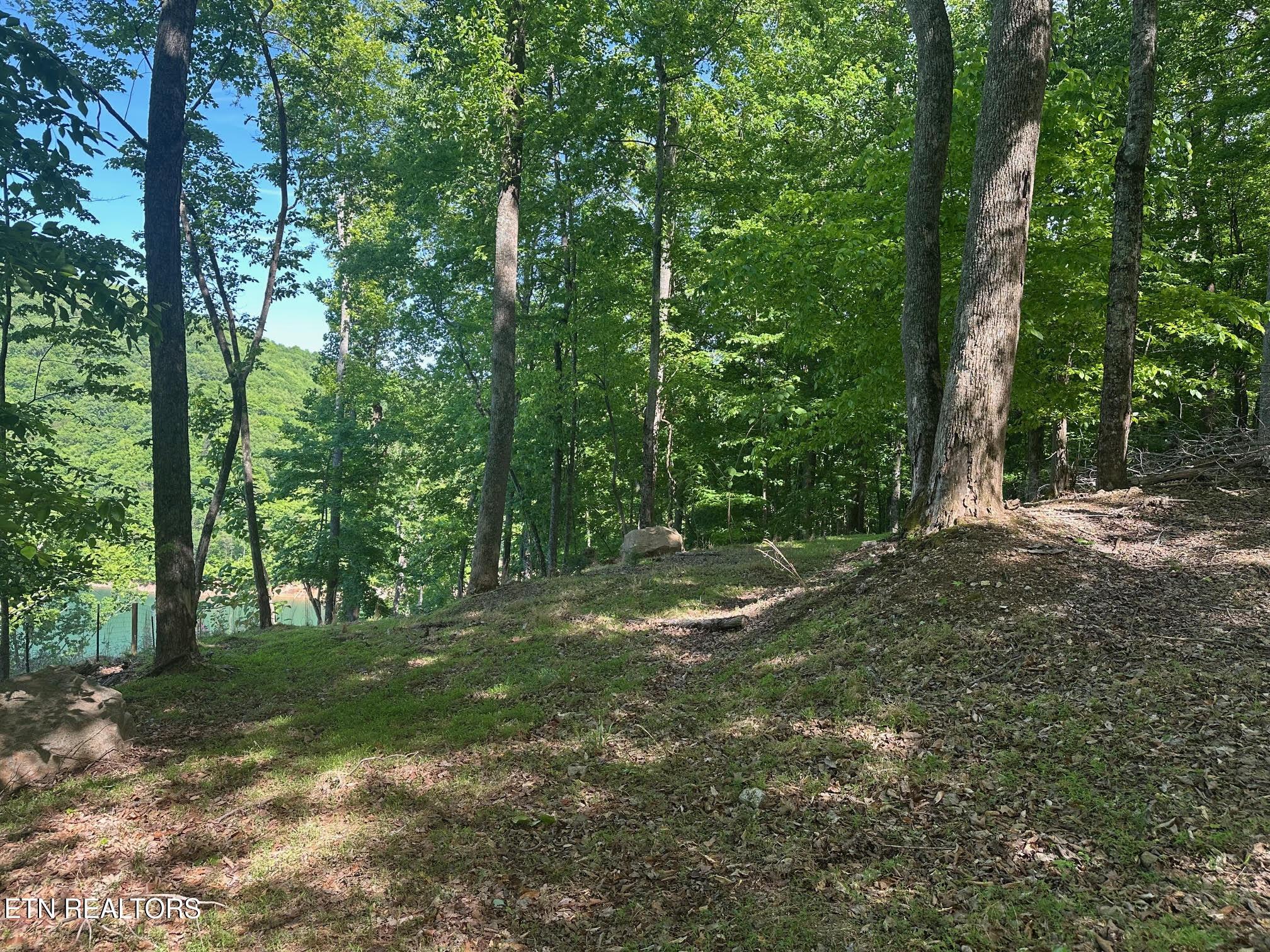 Norris Lake Real Estate - Image# 7