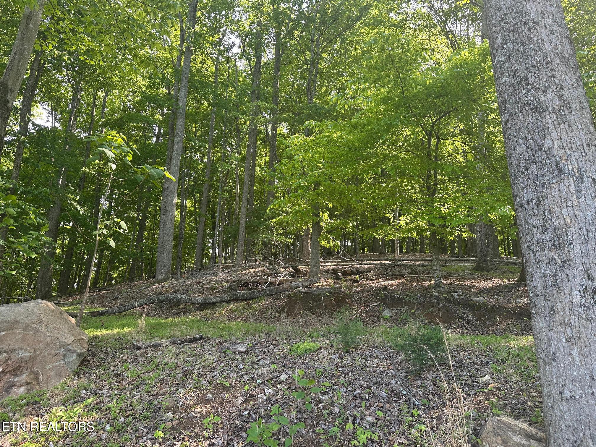 Norris Lake Real Estate - Image# 10