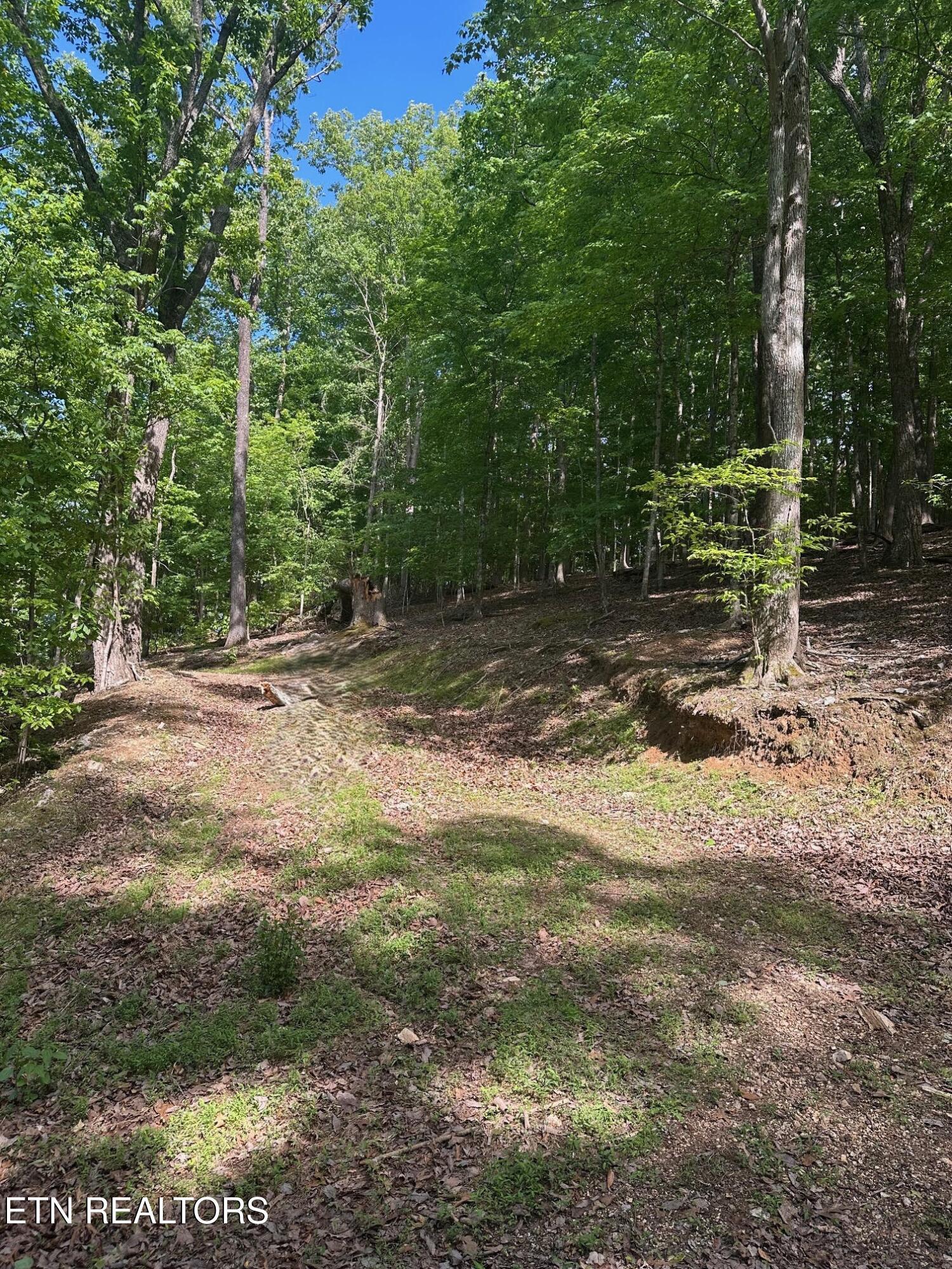 Norris Lake Real Estate - Image# 1