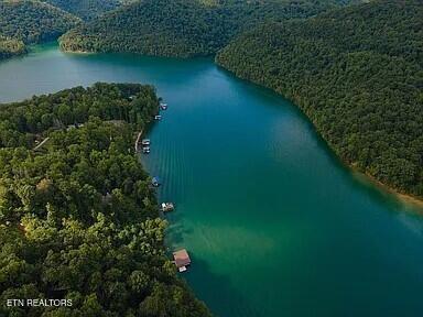 Norris Lake Real Estate - Image# 16