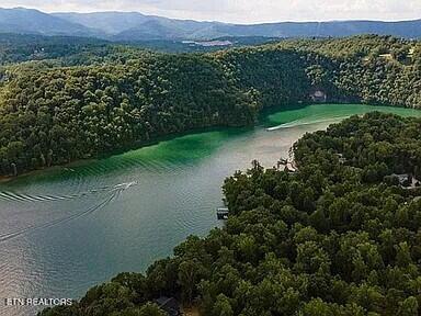 Norris Lake Real Estate - Image# 17