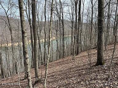 Norris Lake Real Estate - Image# 2