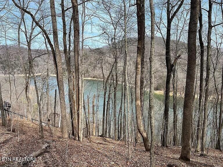 Norris Lake Real Estate - Image# 15