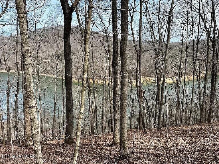 Norris Lake Real Estate - Image# 14