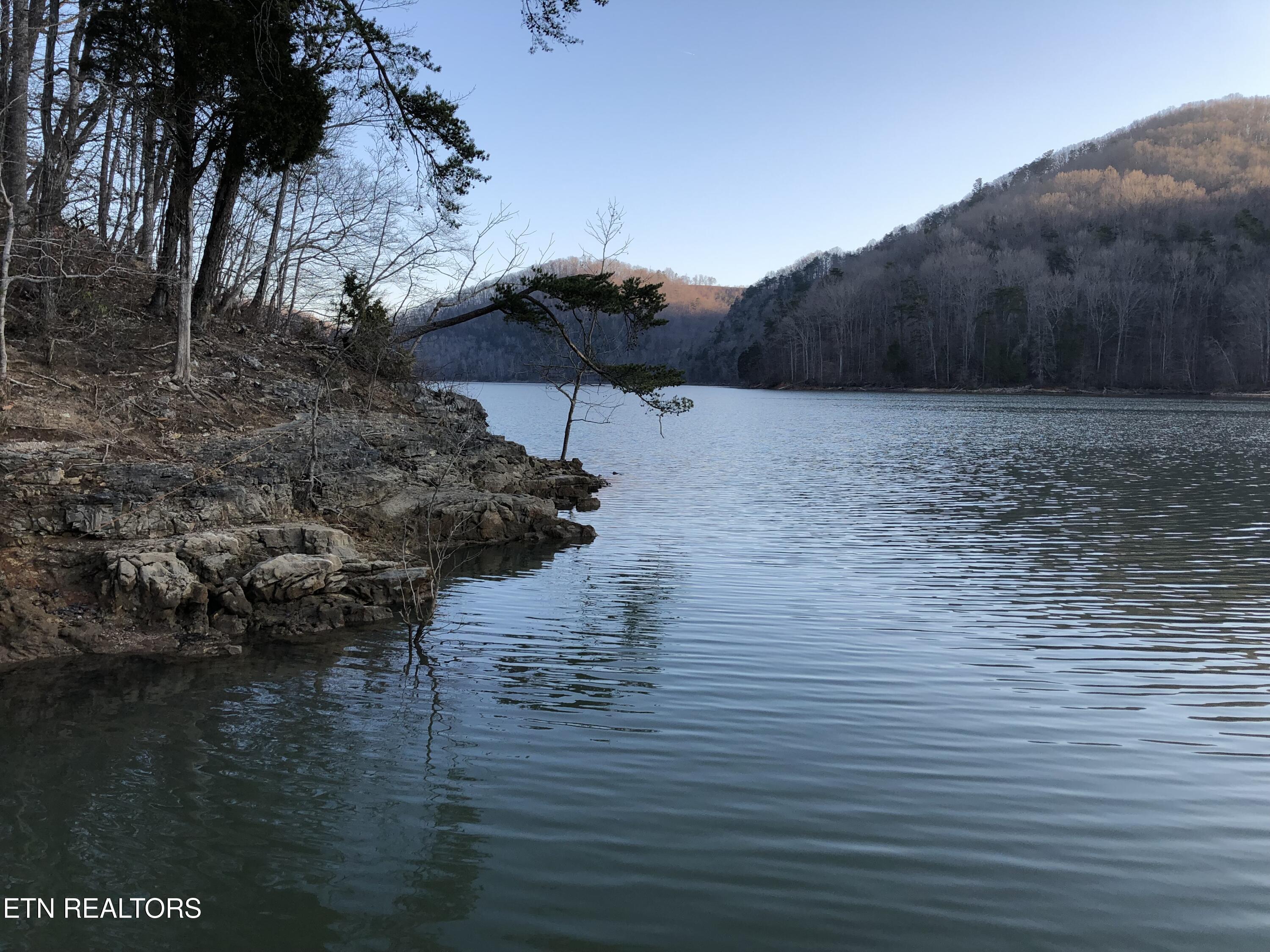 Norris Lake Real Estate - Image# 18