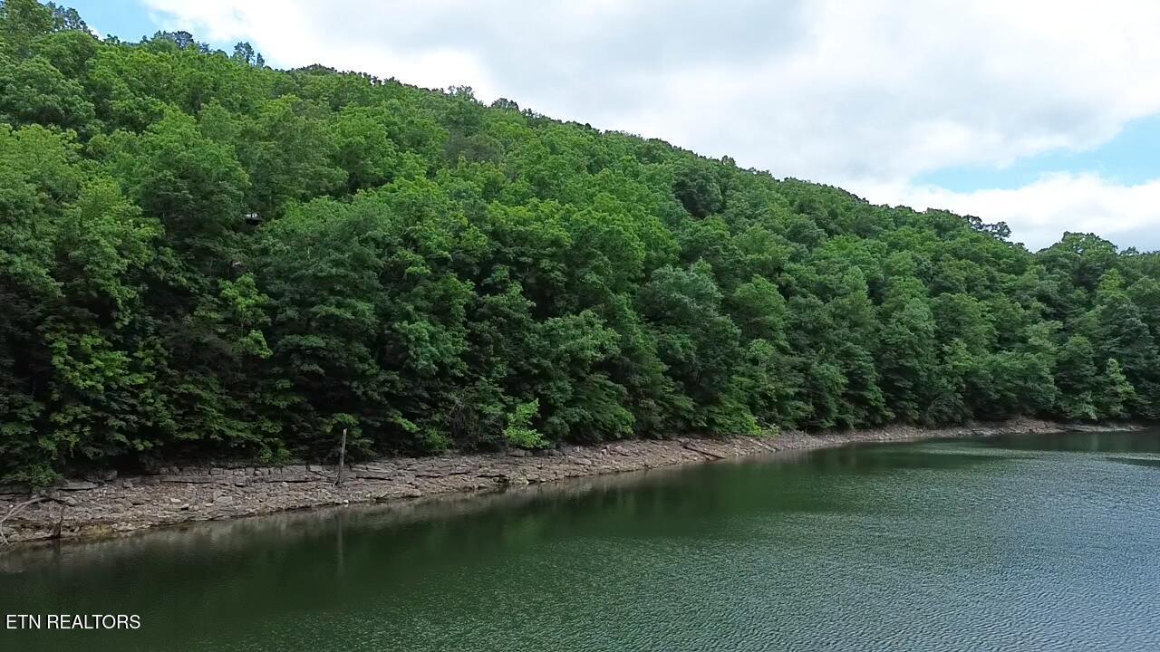 267 Lakemont Lane, Caryville, TN - Norris Lake Real Estate - Image# 14