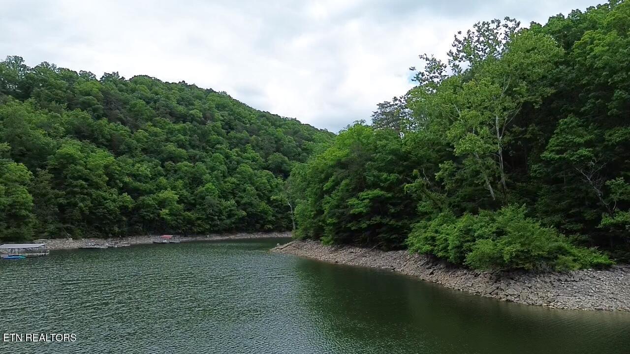 267 Lakemont Lane, Caryville, TN - Norris Lake Real Estate - Image# 15