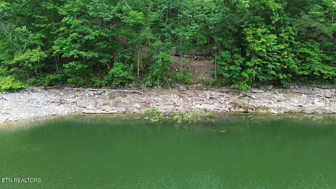 267 Lakemont Lane, Caryville, TN - Norris Lake Real Estate - Image# 16