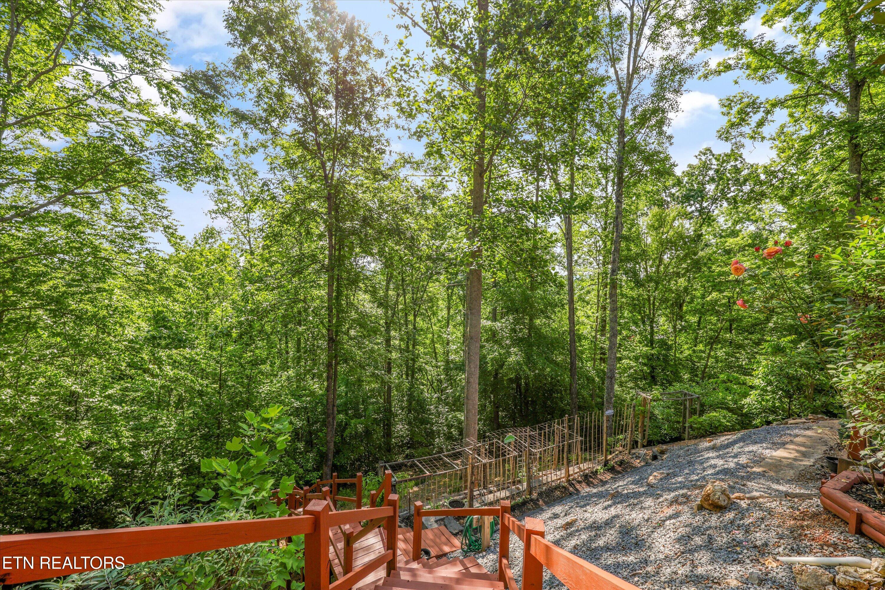 180 Silver Tr, New Tazewell, TN - Norris Lake Real Estate - Image# 52