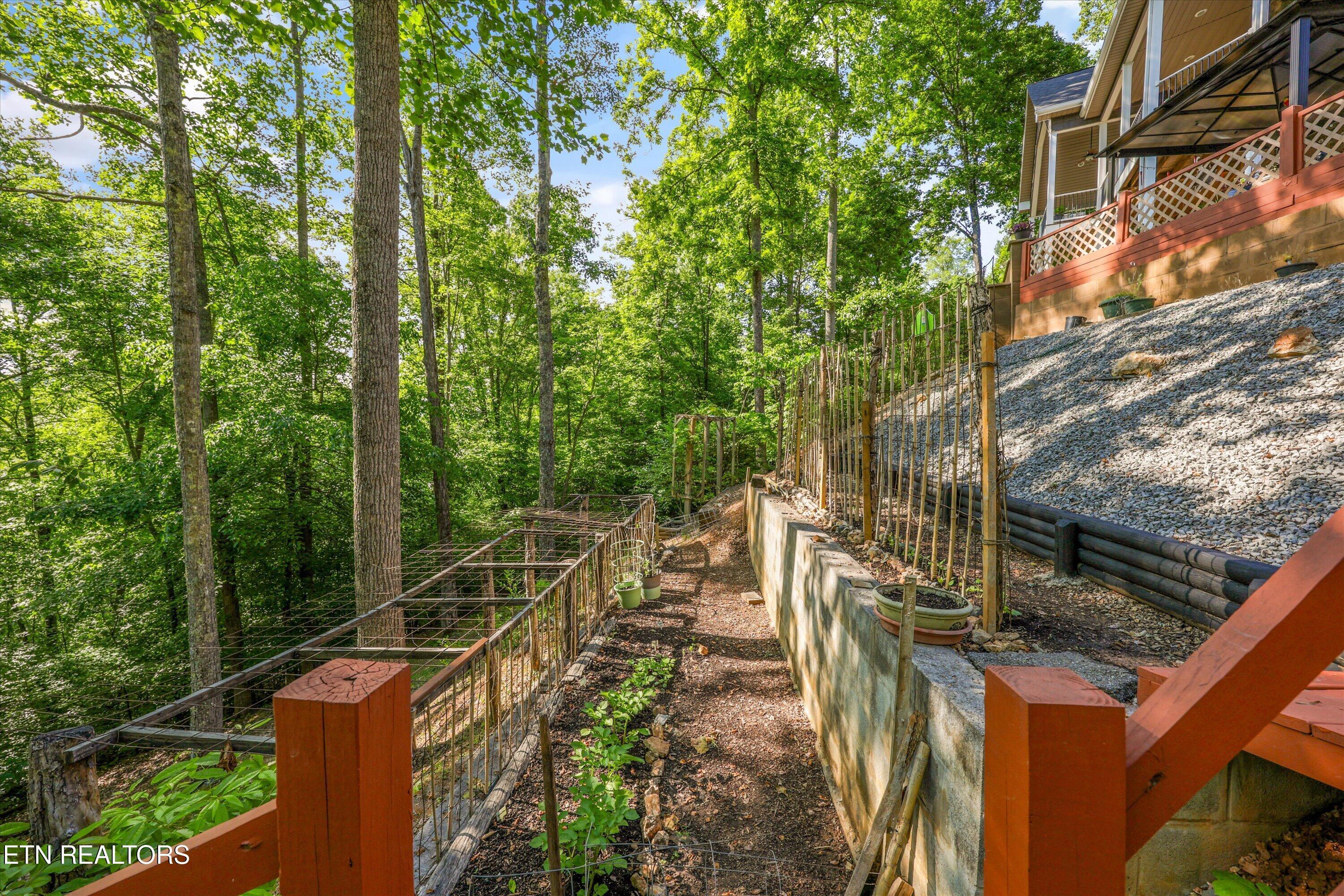 180 Silver Tr, New Tazewell, TN - Norris Lake Real Estate - Image# 53