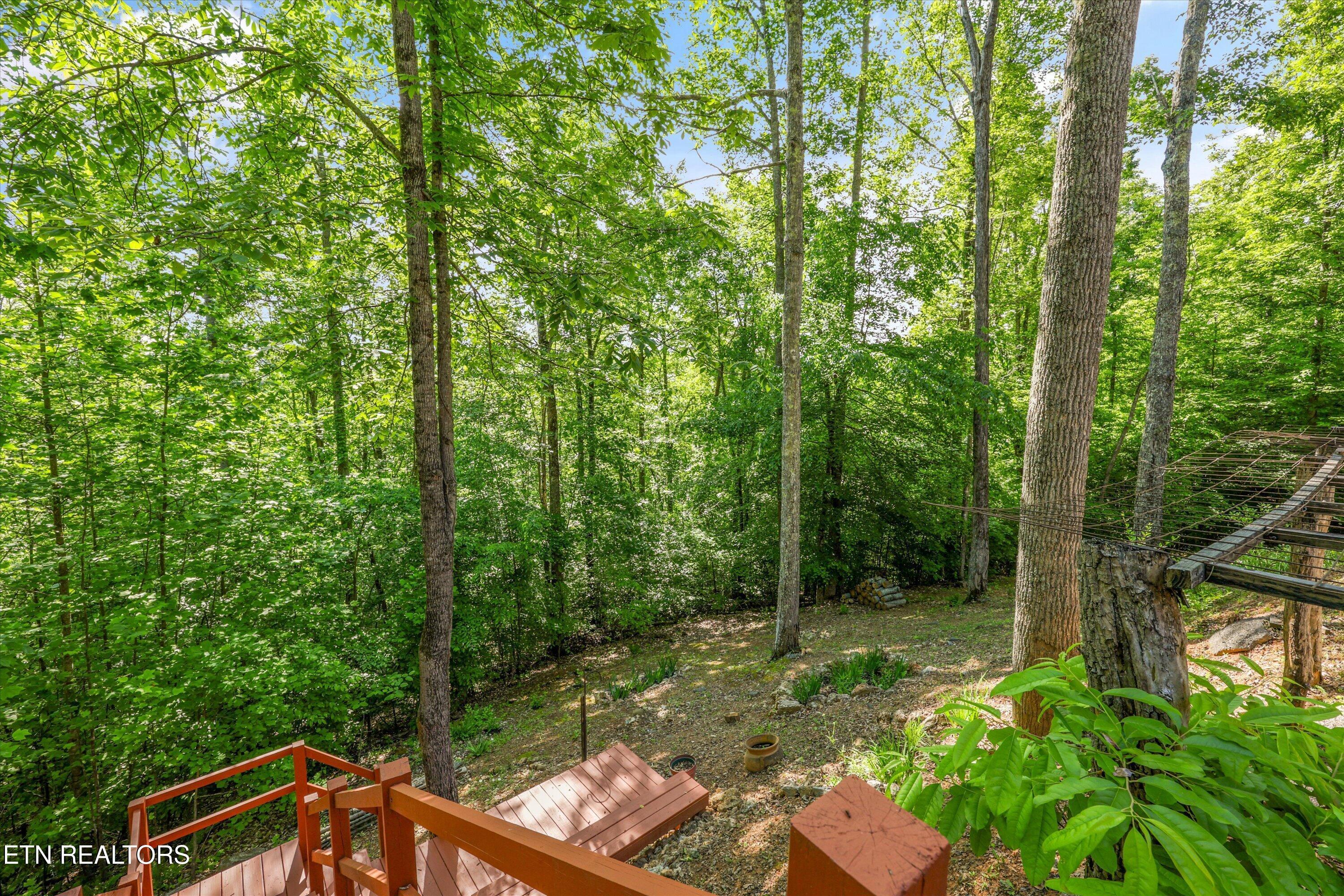 180 Silver Tr, New Tazewell, TN - Norris Lake Real Estate - Image# 54
