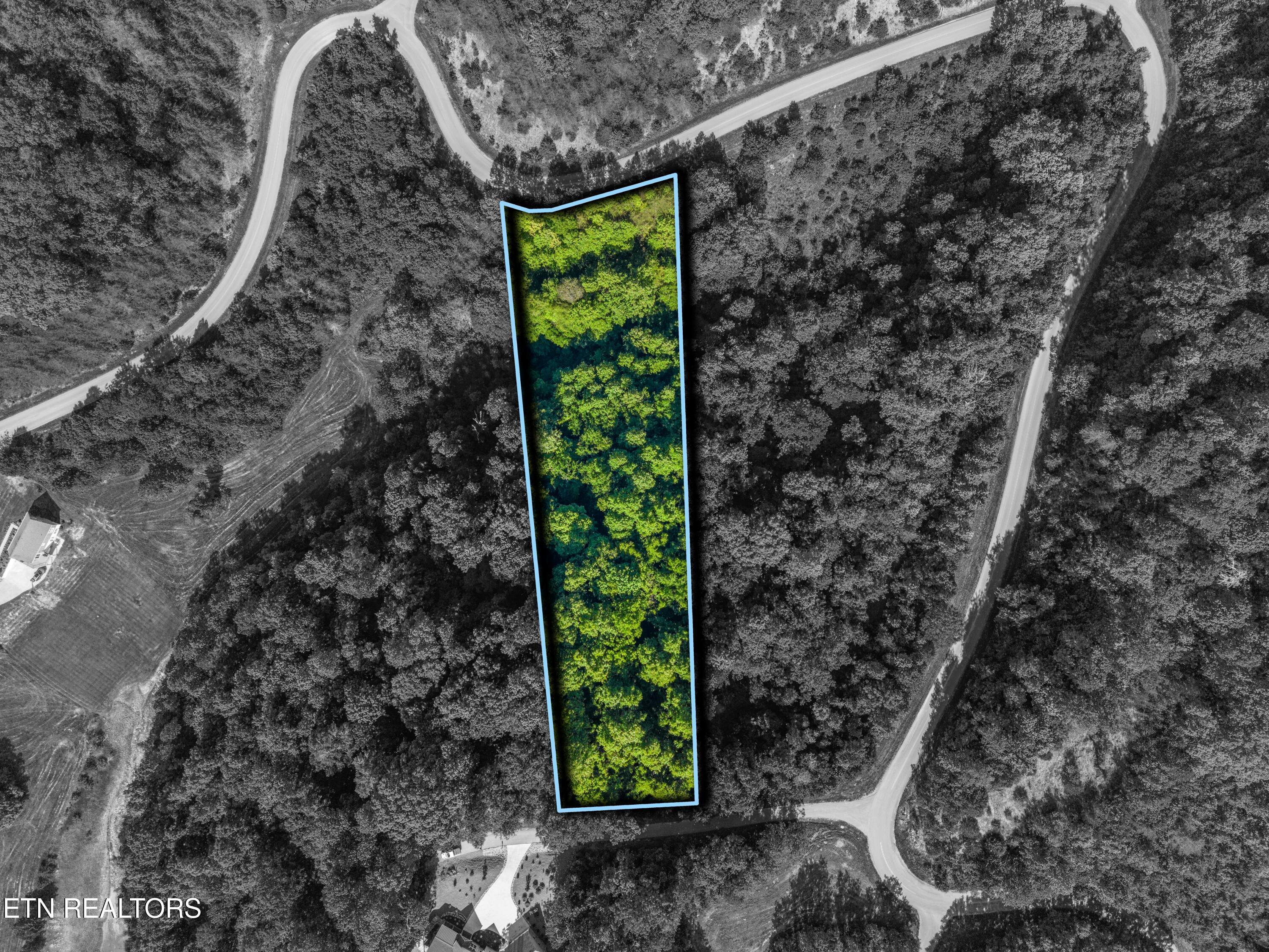 Norris Lake Real Estate - Image# 1