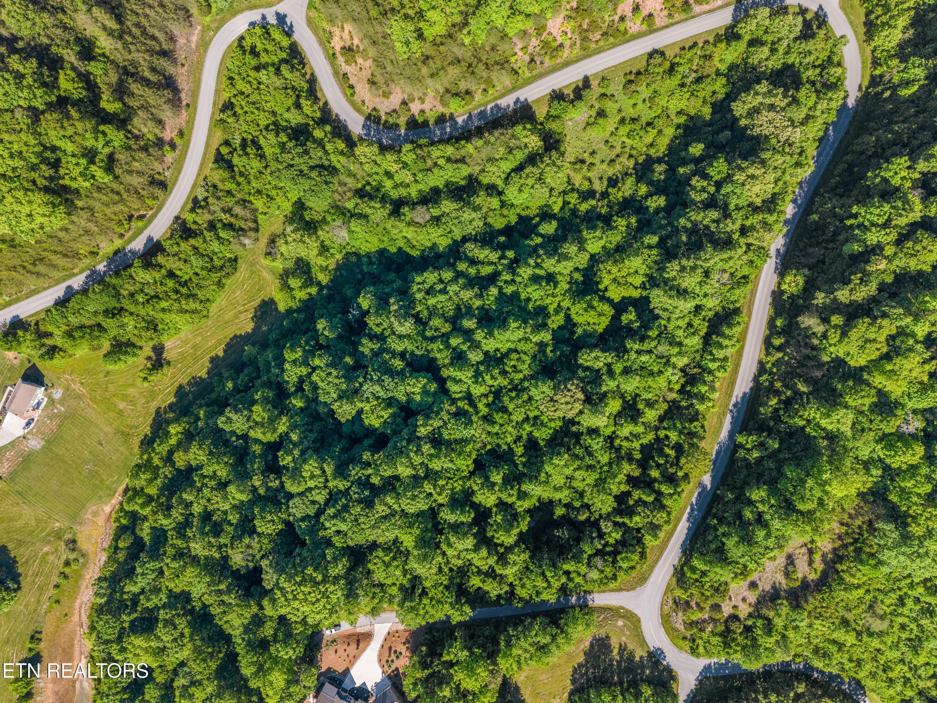Norris Lake Real Estate - Image# 2