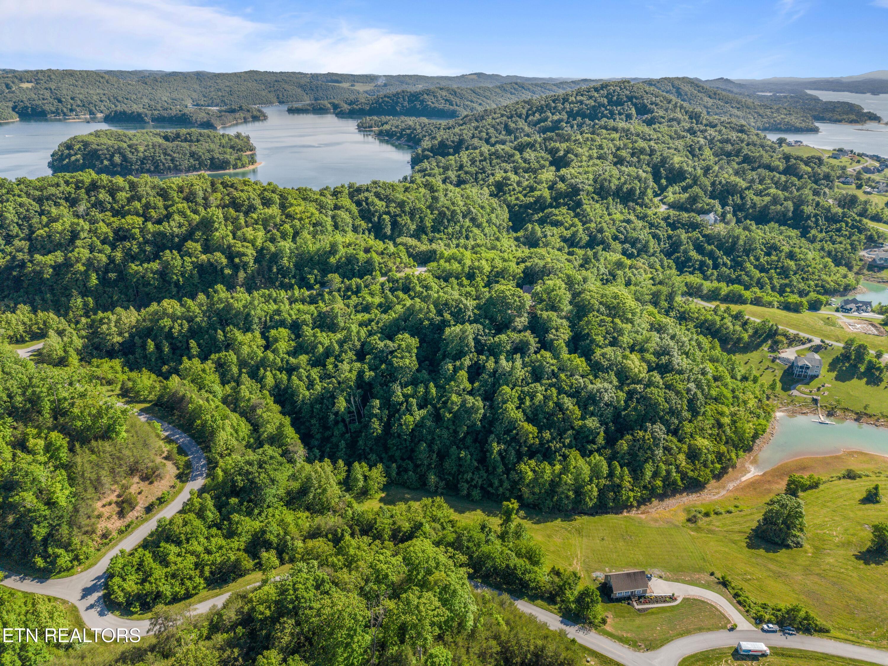 Norris Lake Real Estate - Image# 5