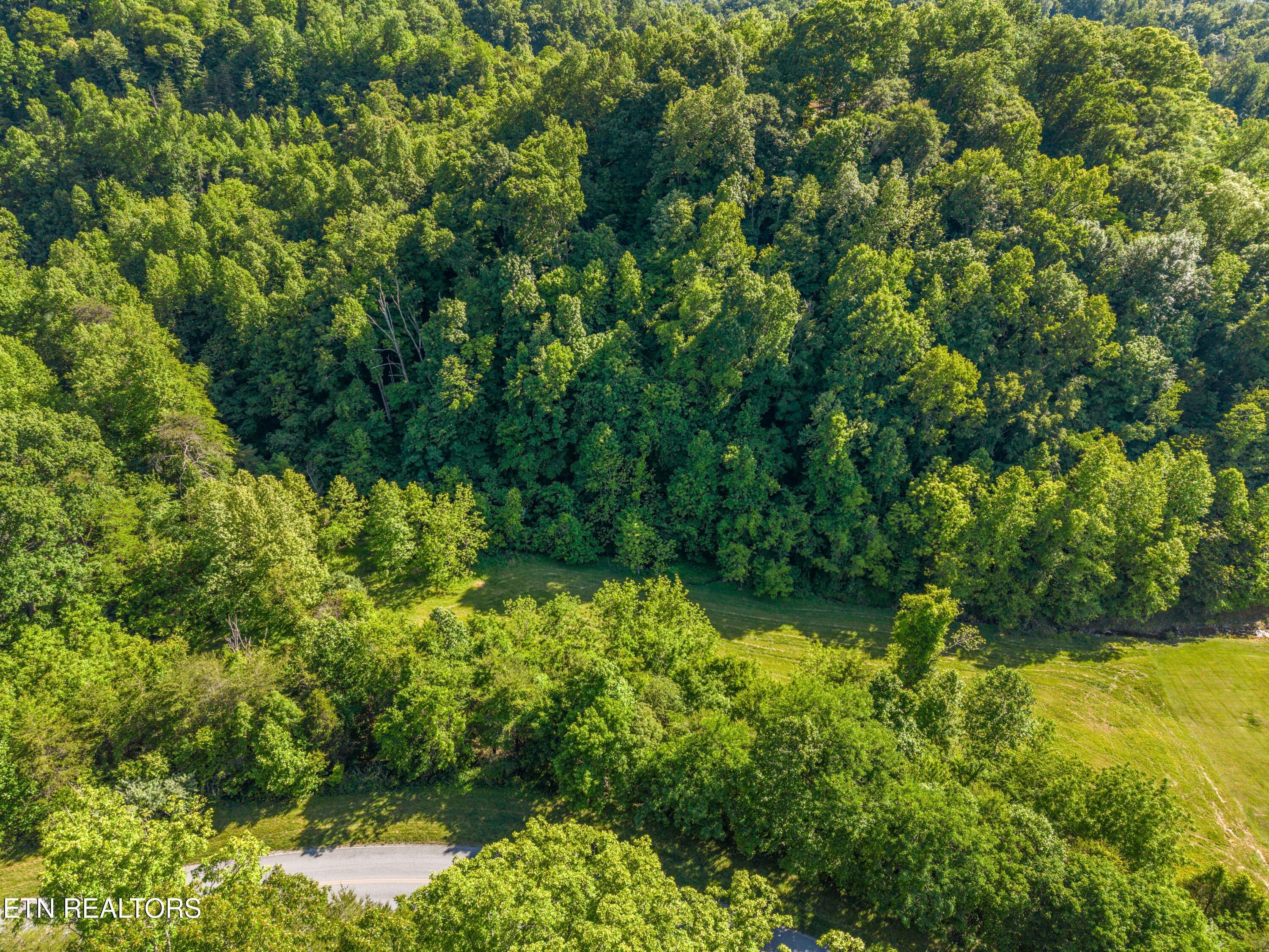 Norris Lake Real Estate - Image# 4