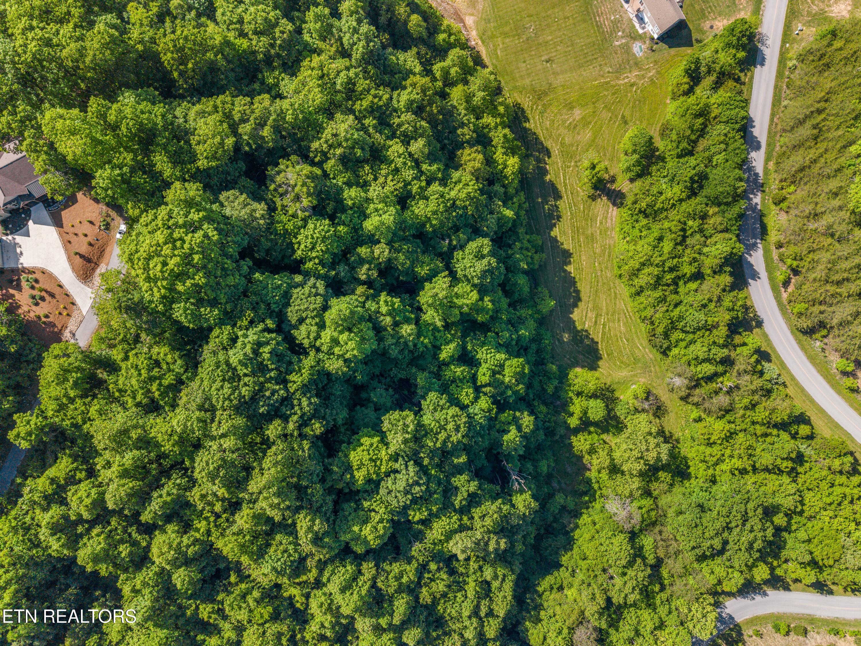 Norris Lake Real Estate - Image# 3