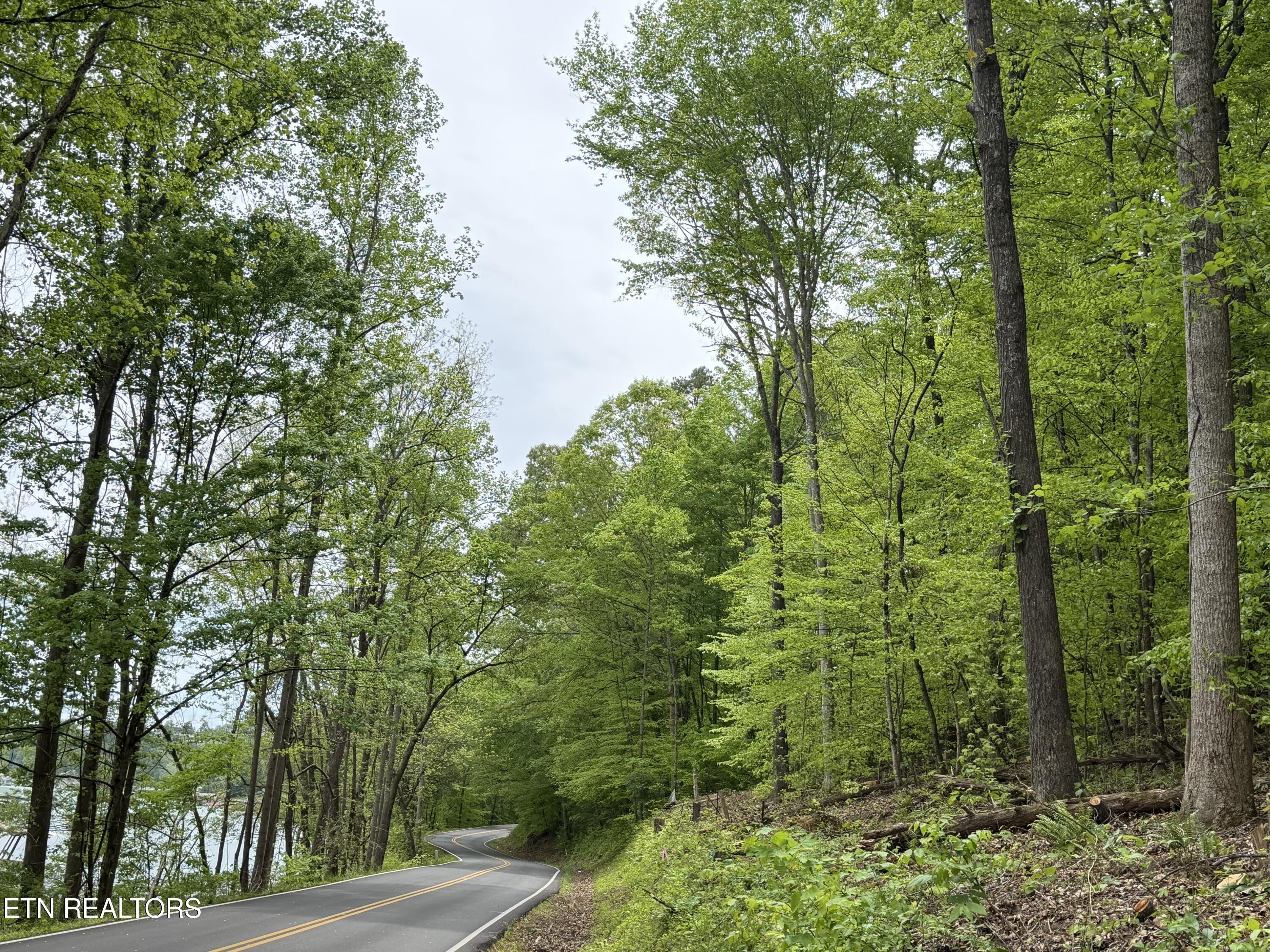 Norris Lake Real Estate - Image# 1