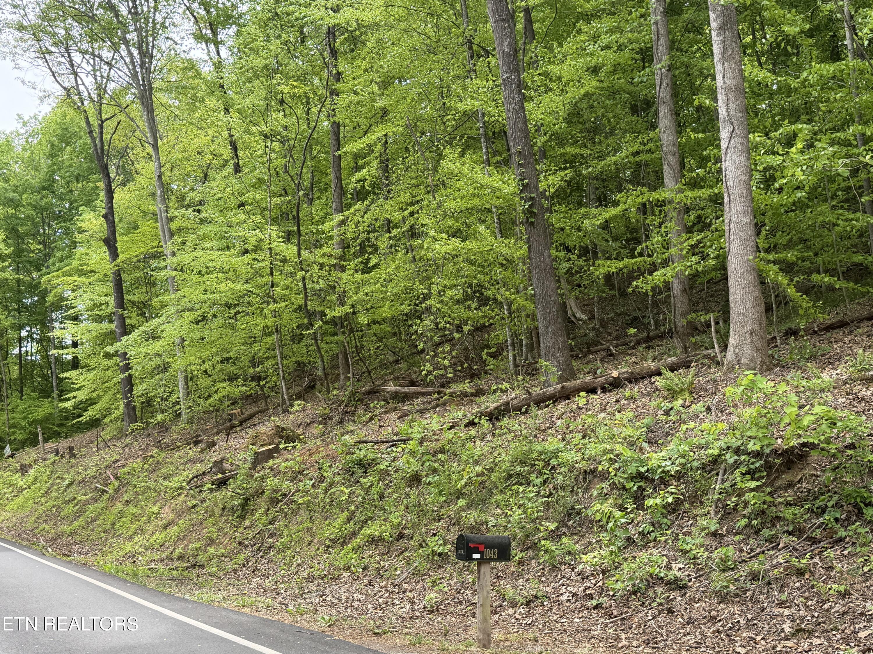 Norris Lake Real Estate - Image# 5