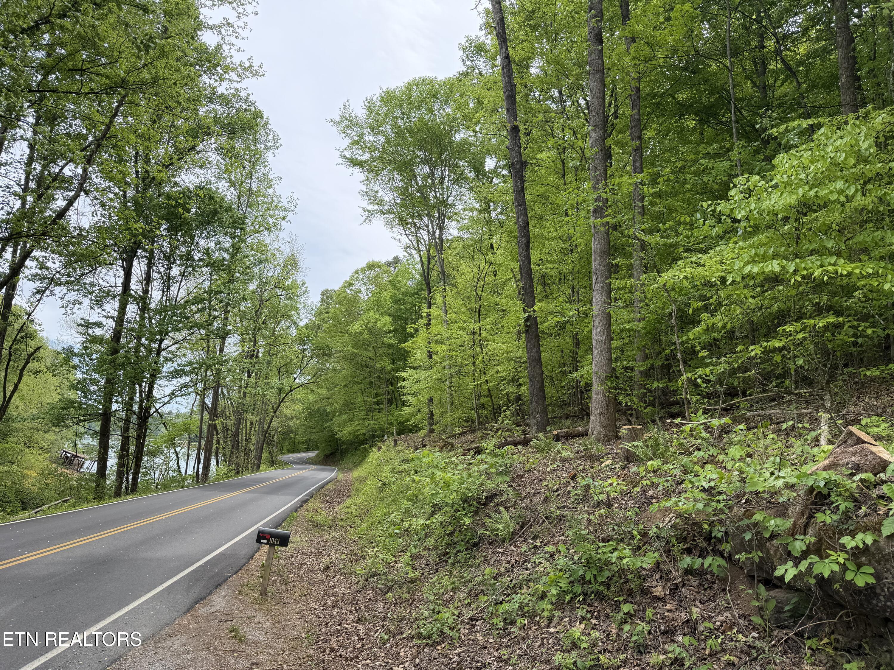 Norris Lake Real Estate - Image# 7