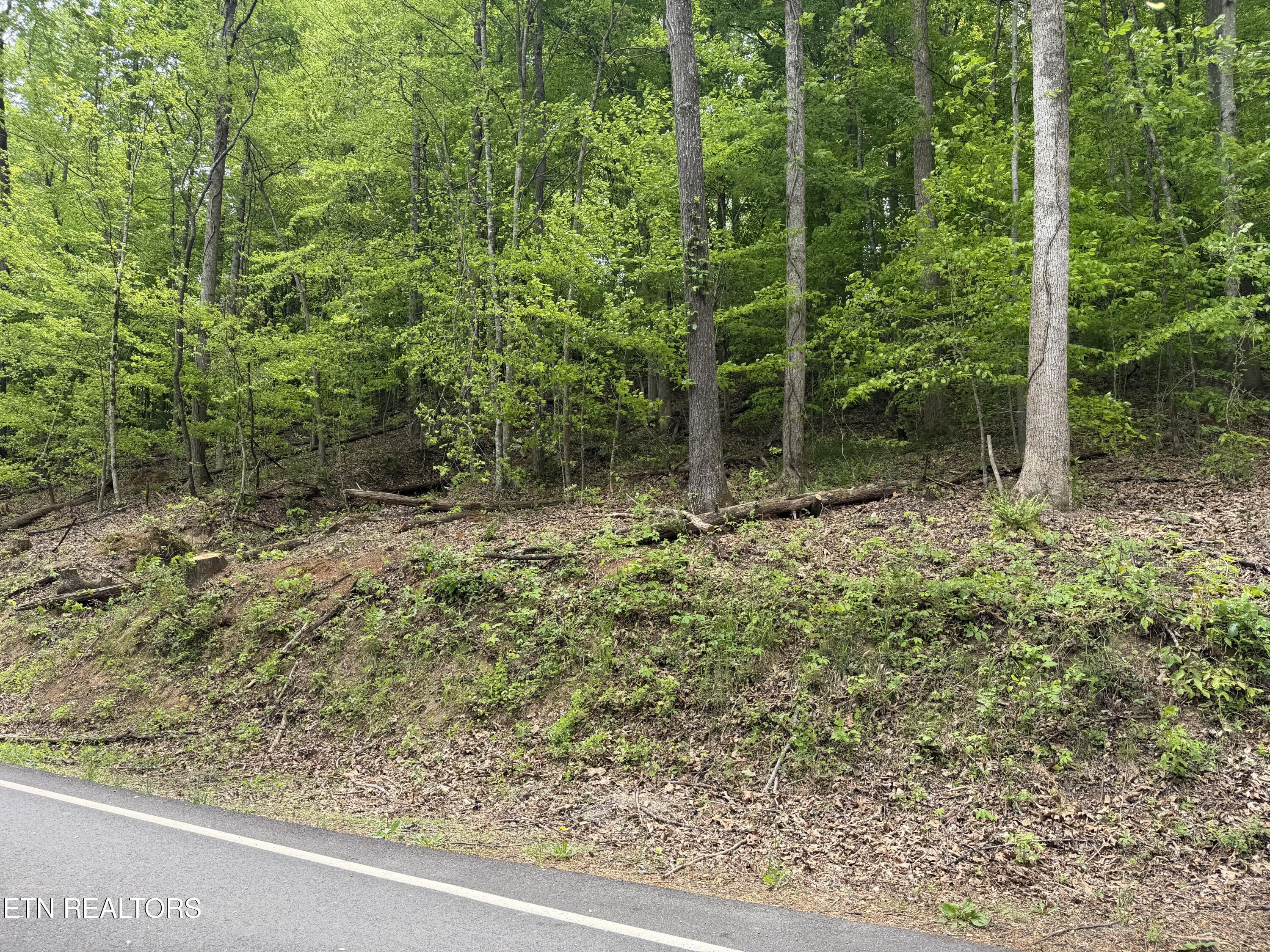 Norris Lake Real Estate - Image# 8