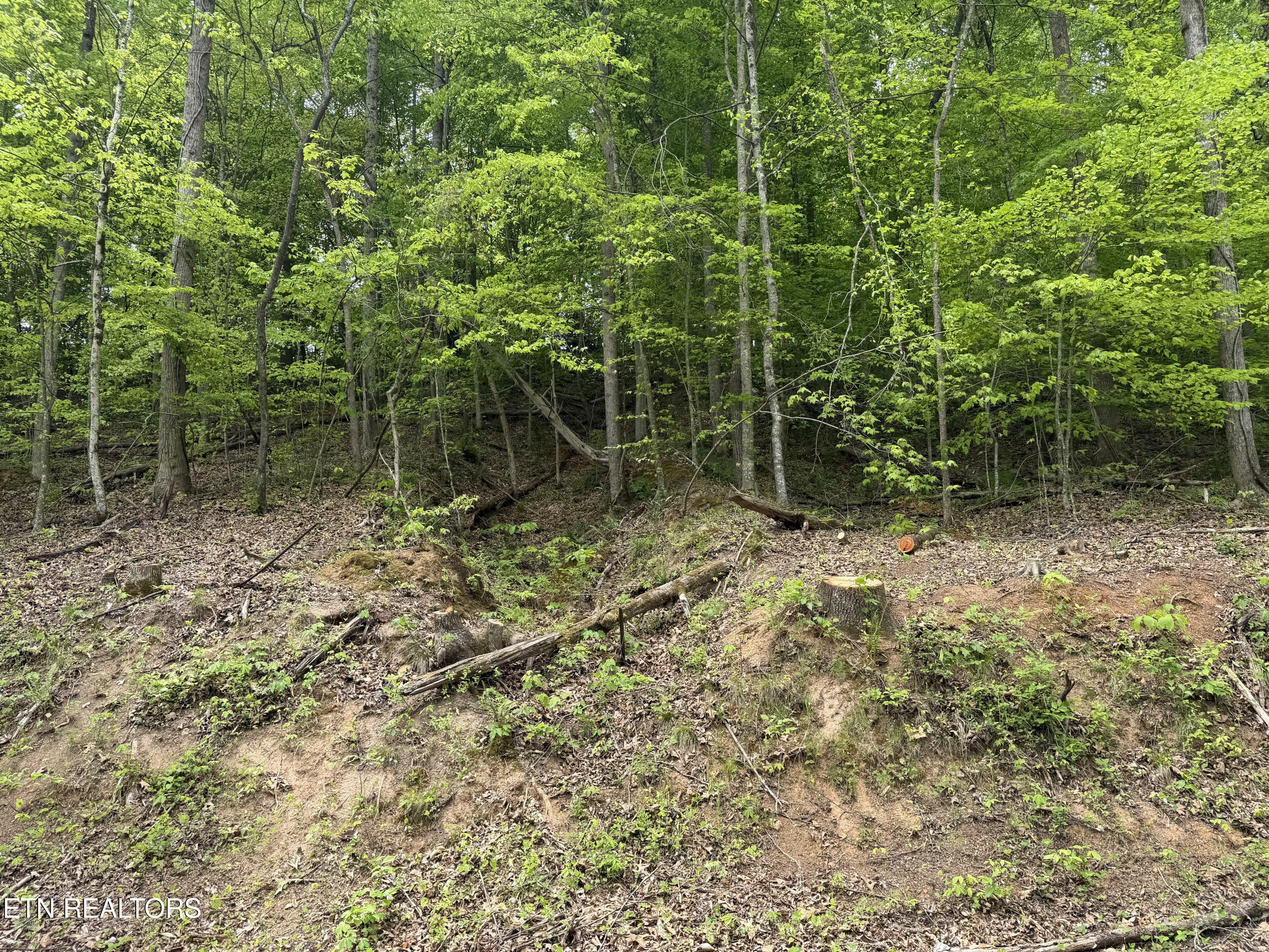 Norris Lake Real Estate - Image# 9