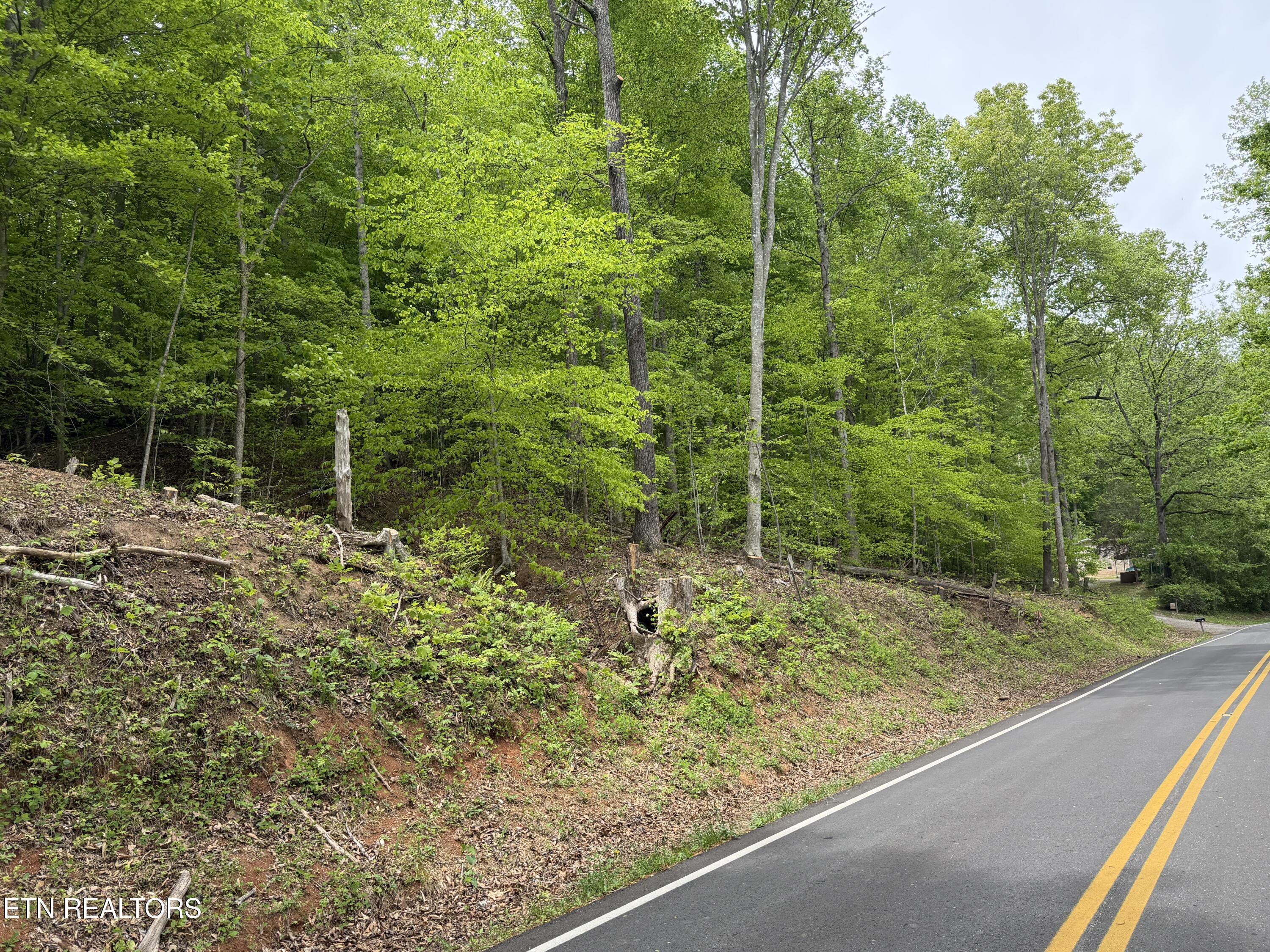 Norris Lake Real Estate - Image# 12