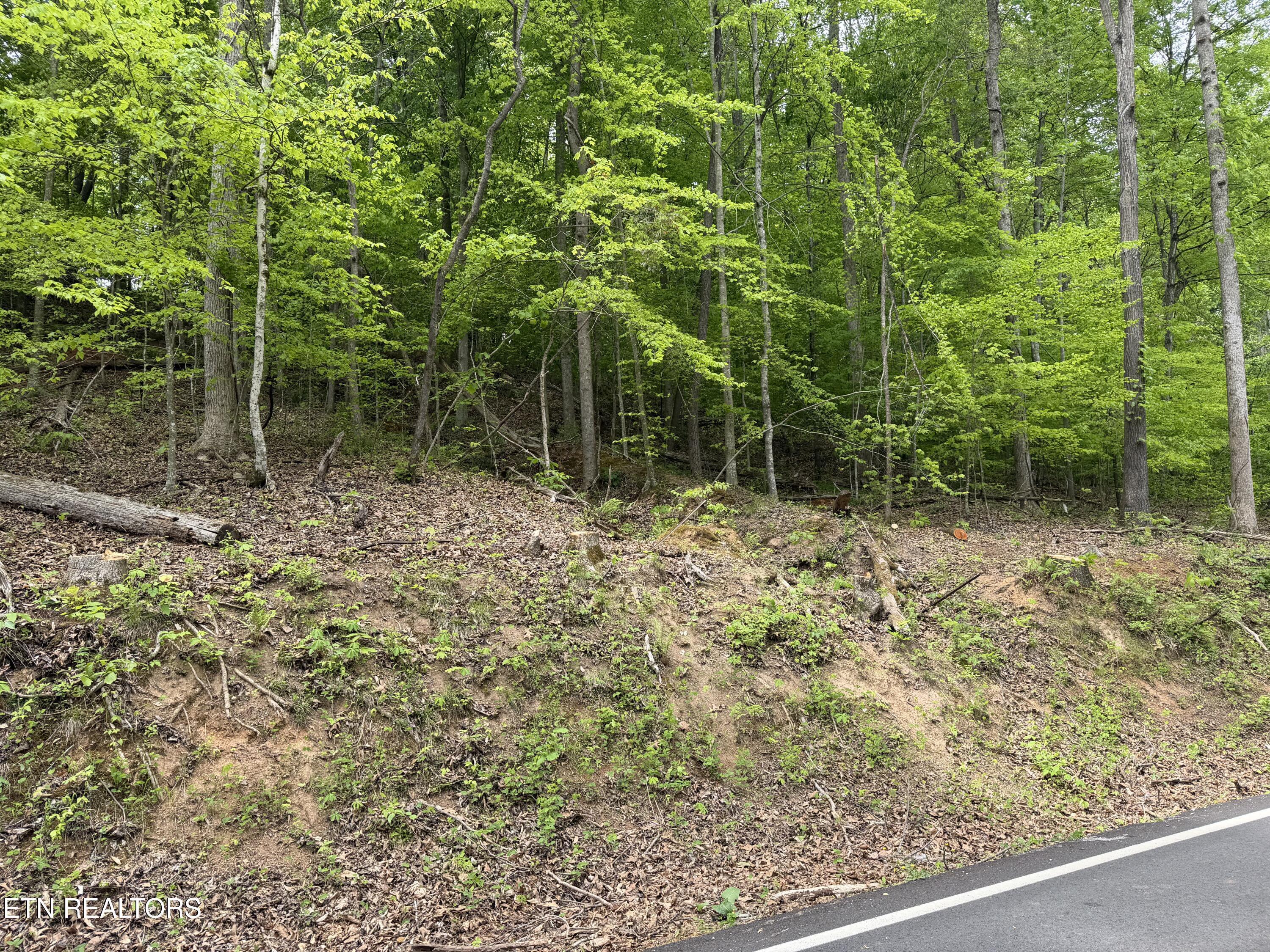 Norris Lake Real Estate - Image# 13