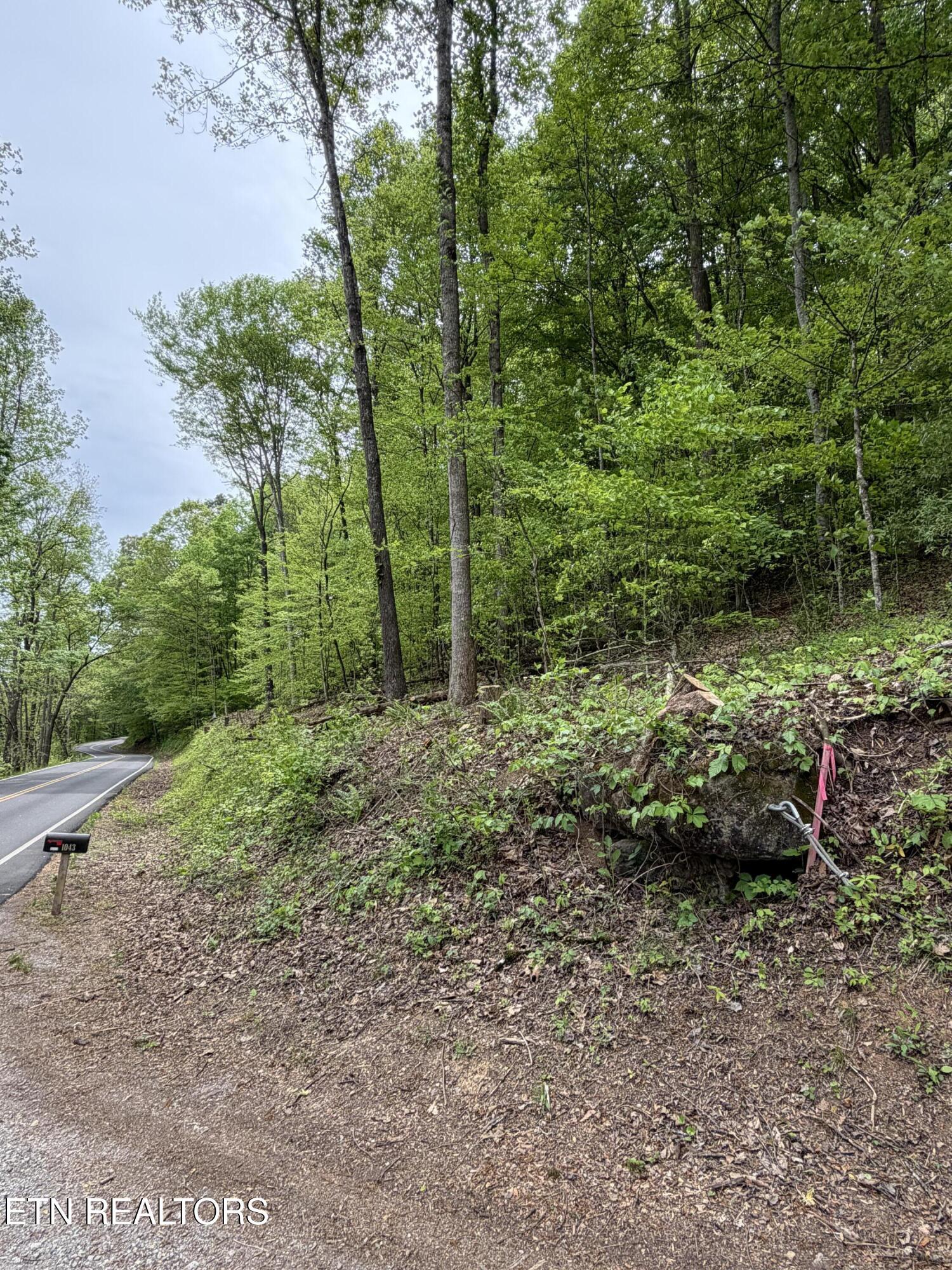 Norris Lake Real Estate - Image# 6