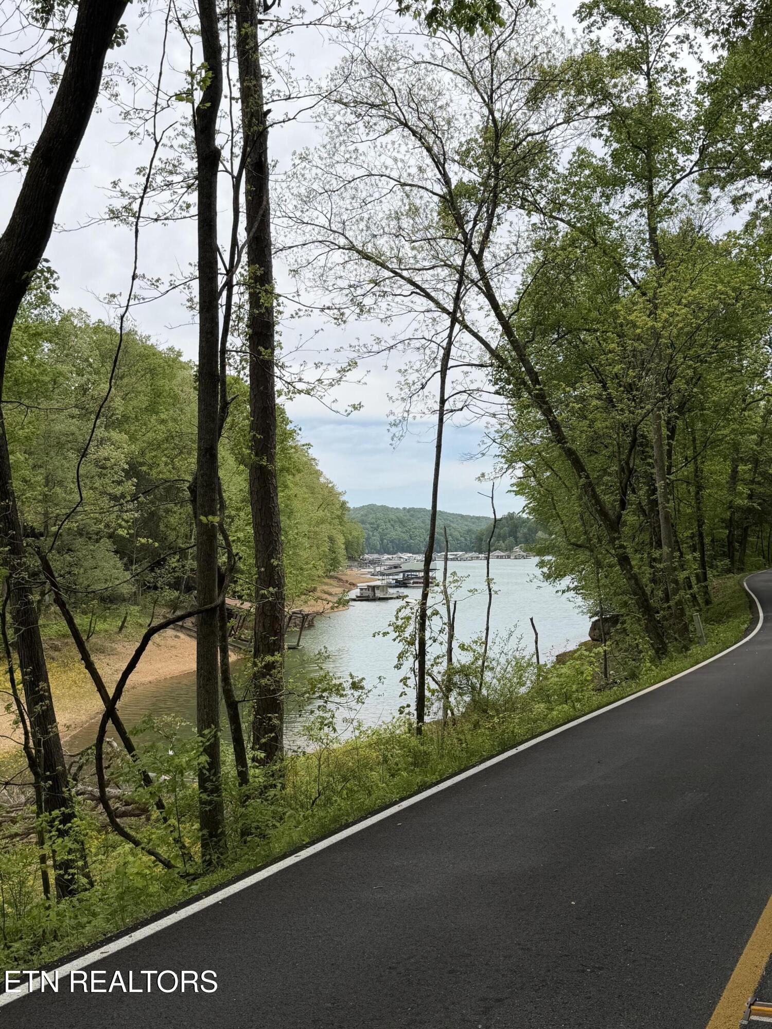 Norris Lake Real Estate - Image# 2
