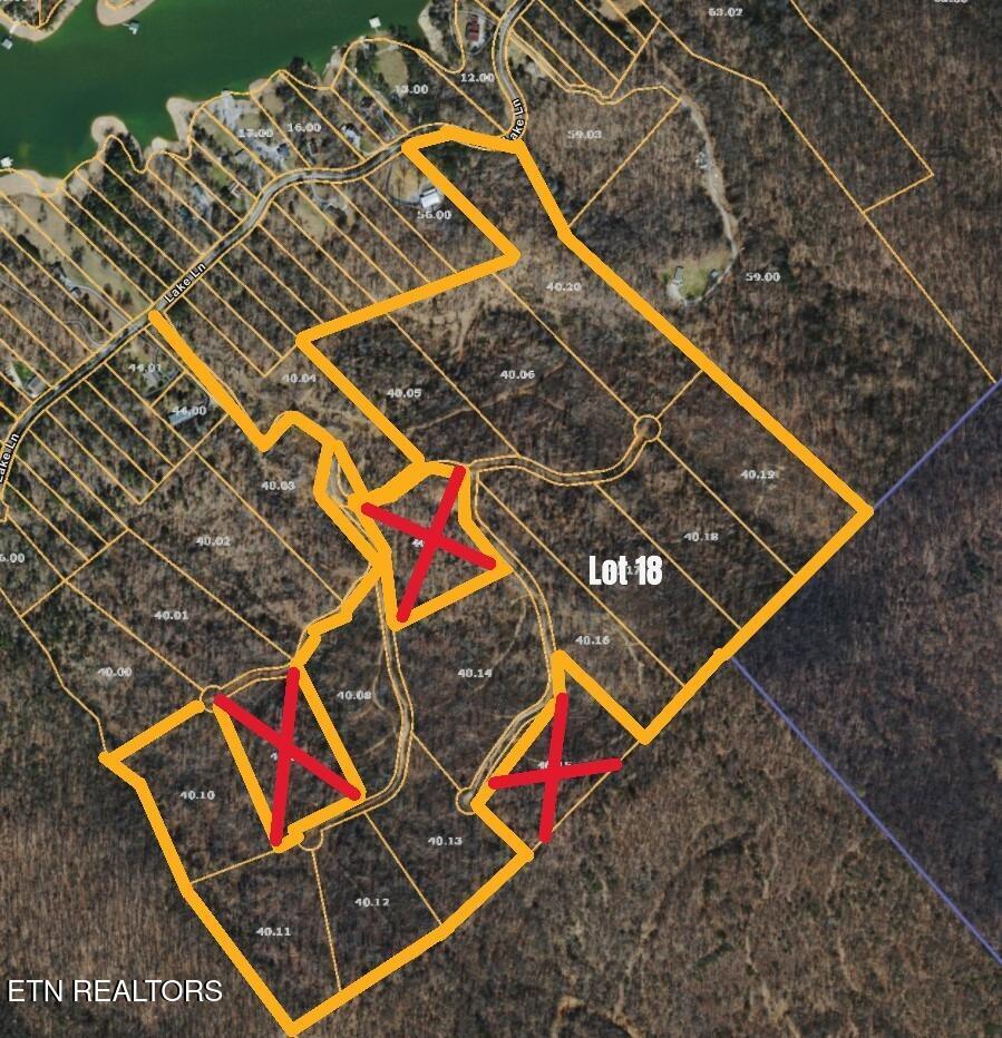 Norris Lake Real Estate - Image# 1
