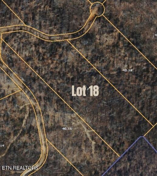 Norris Lake Real Estate - Image# 2