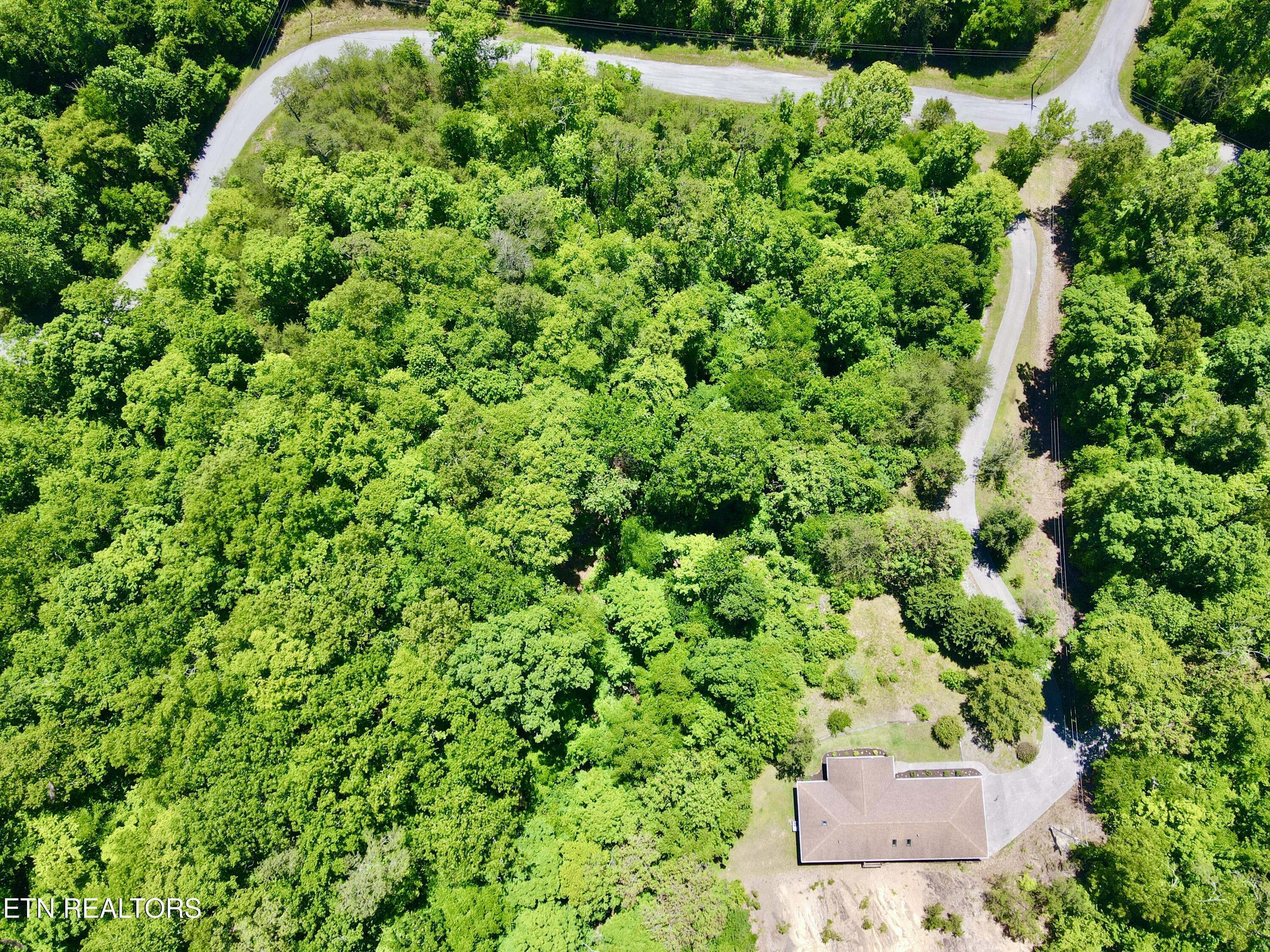 454 Wildcat Hollow Rd, New Tazewell, TN - Norris Lake Real Estate - Image# 16