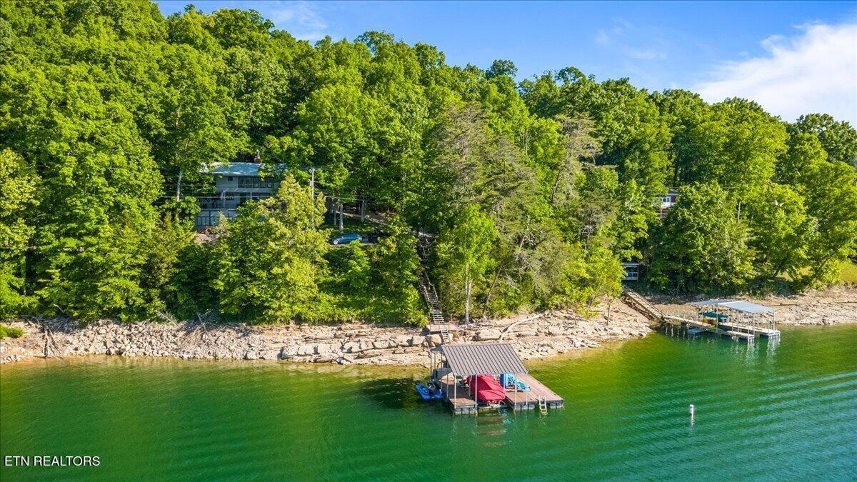 244 Lakeshore Drive, Maynardville, TN - Norris Lake Real Estate - Image# 1