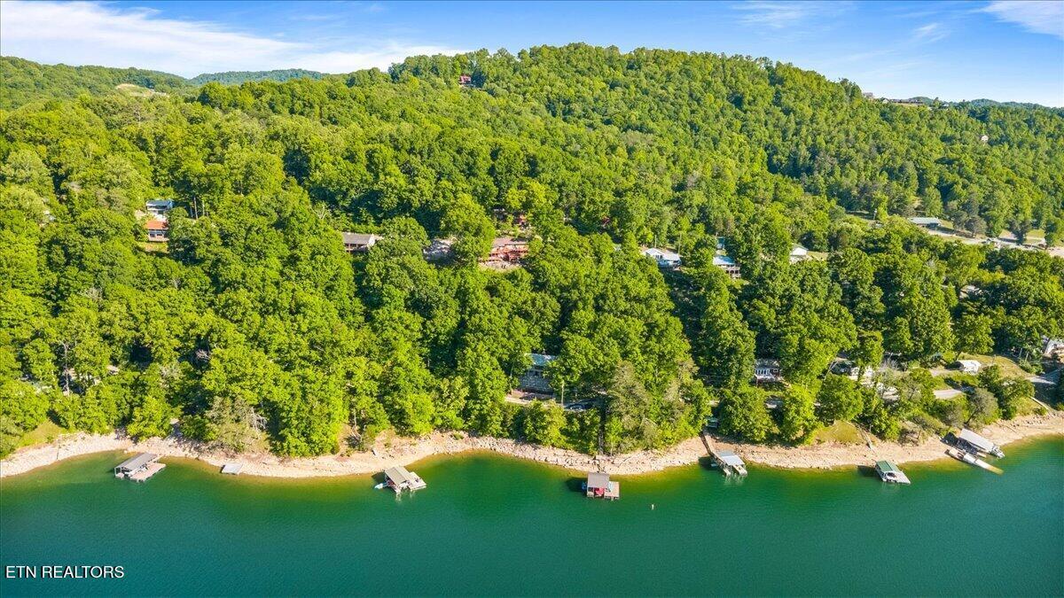 244 Lakeshore Drive, Maynardville, TN - Norris Lake Real Estate - Image# 53