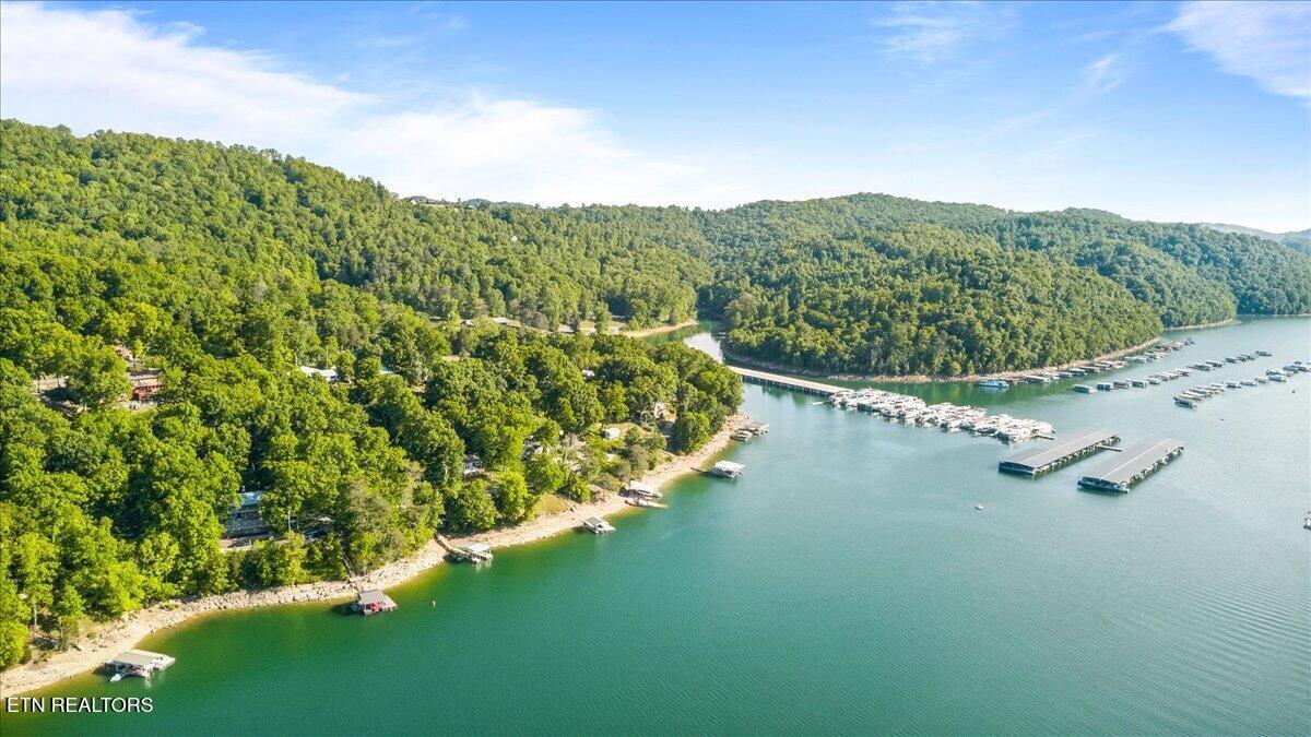 244 Lakeshore Drive, Maynardville, TN - Norris Lake Real Estate - Image# 54