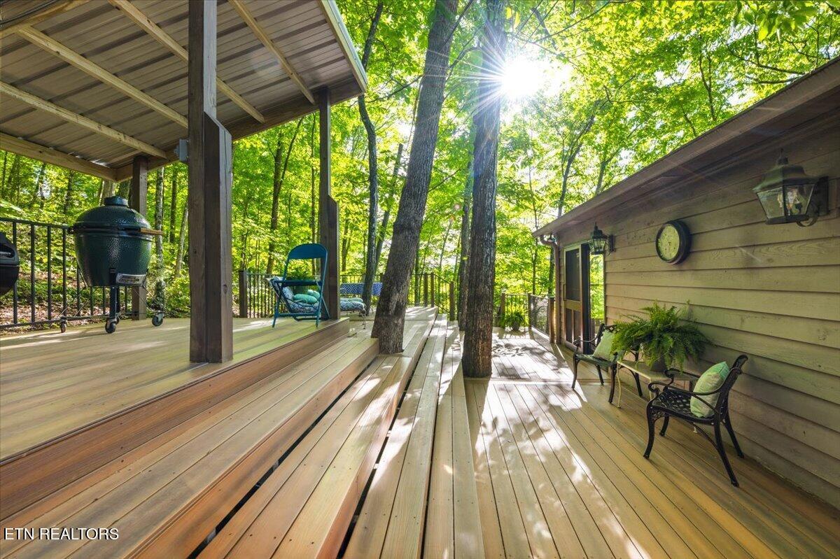 244 Lakeshore Drive, Maynardville, TN - Norris Lake Real Estate - Image# 52