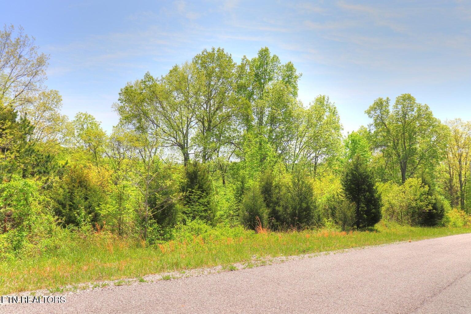 Norris Lake Real Estate - Image# 1