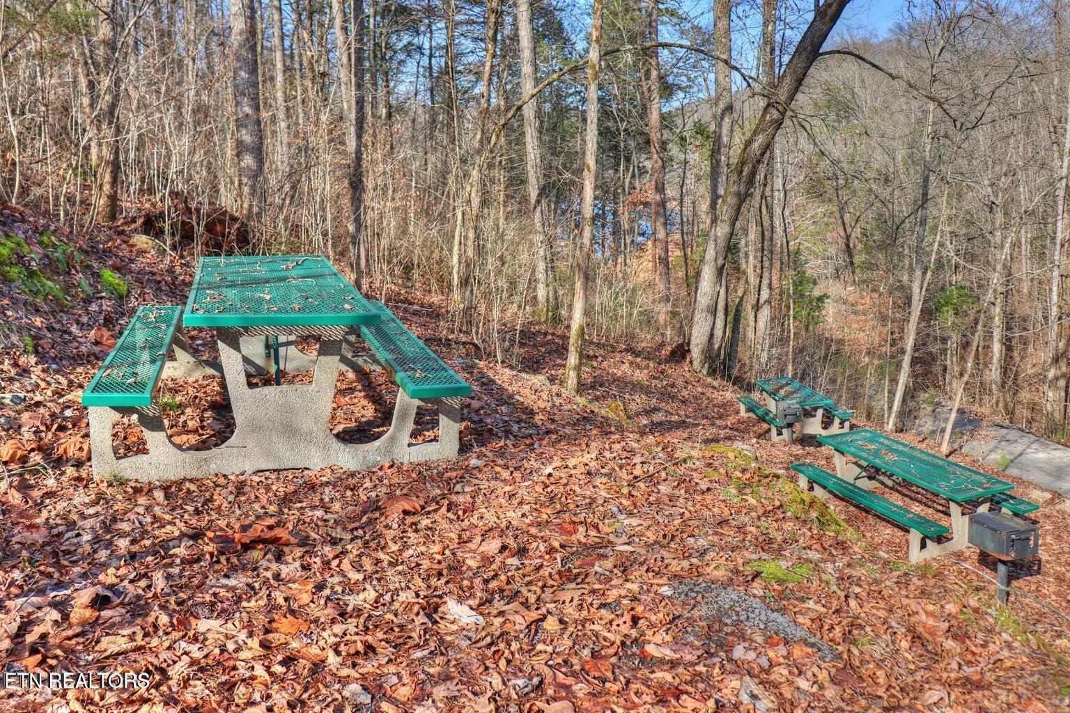 Norris Lake Real Estate - Image# 10
