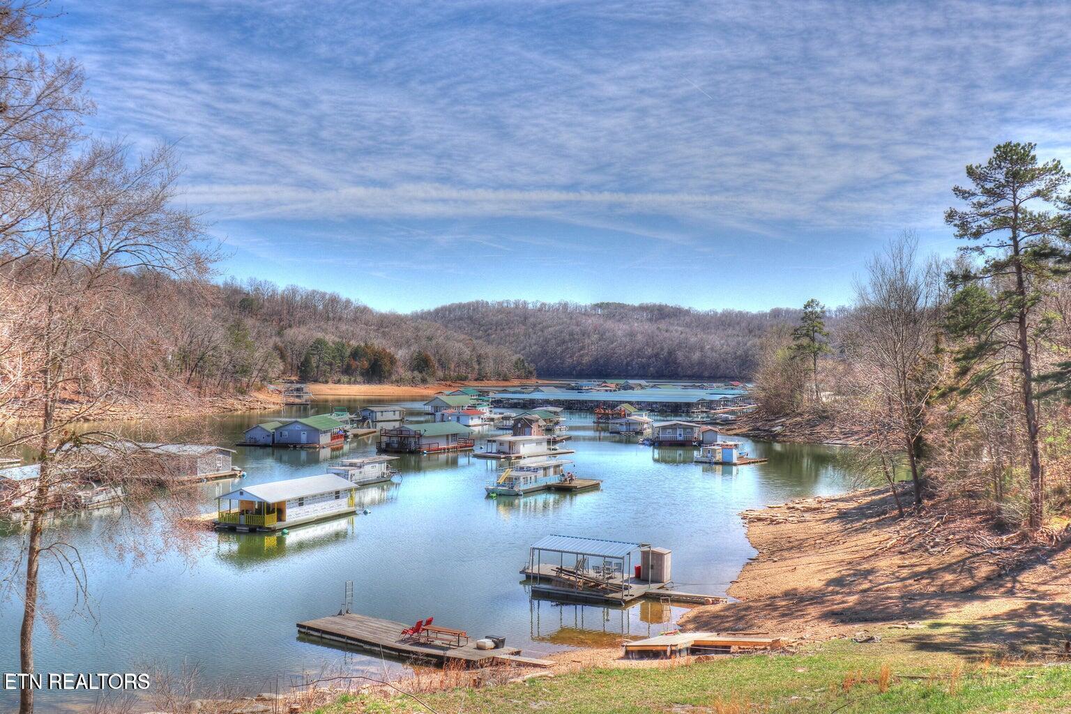 Norris Lake Real Estate - Image# 11