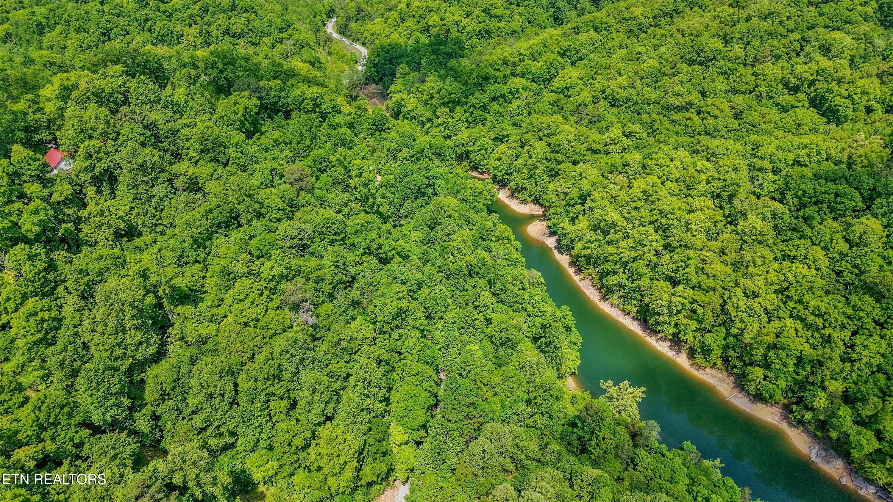 Norris Lake Real Estate - Image# 2