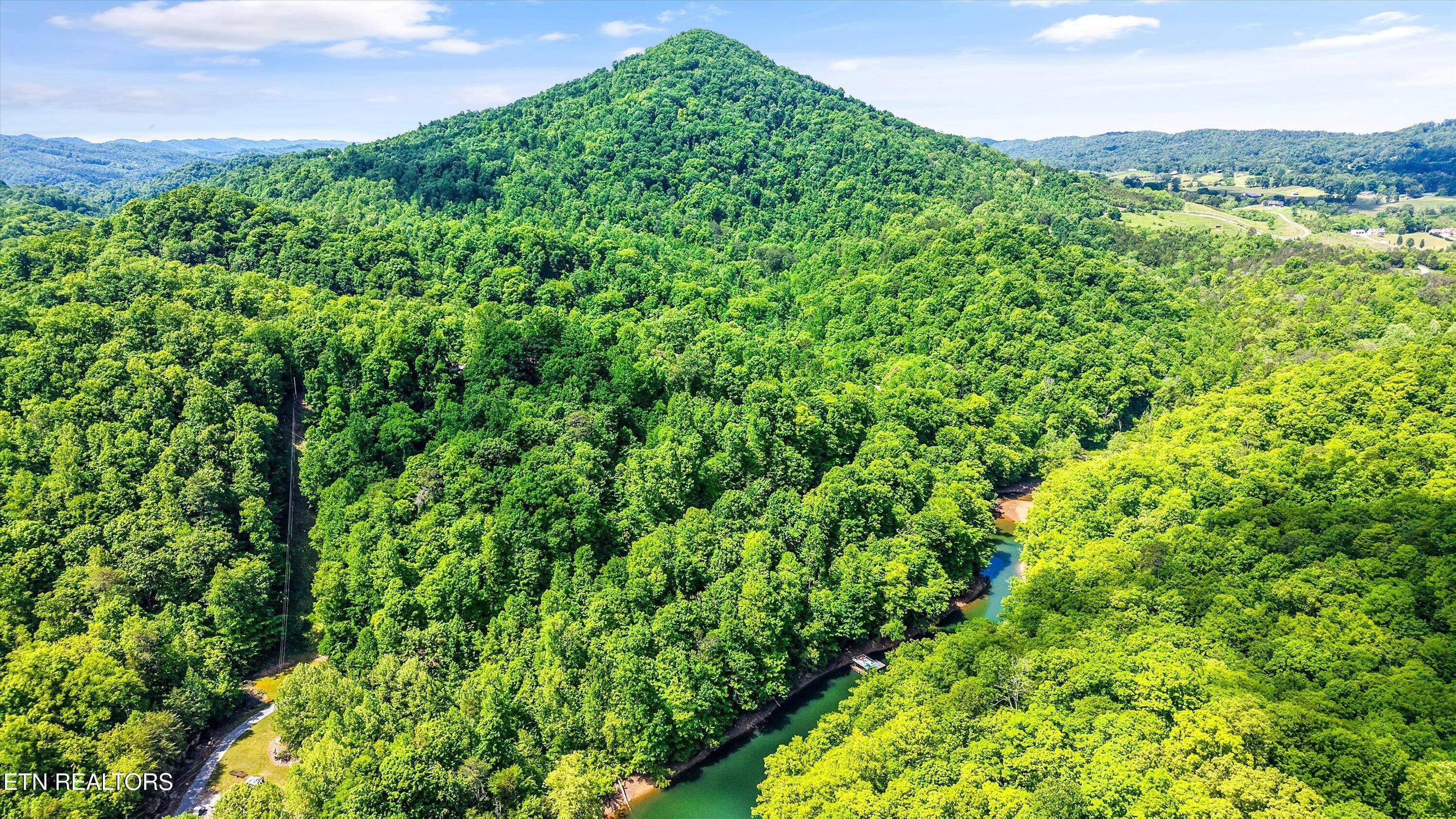 Norris Lake Real Estate - Image# 3