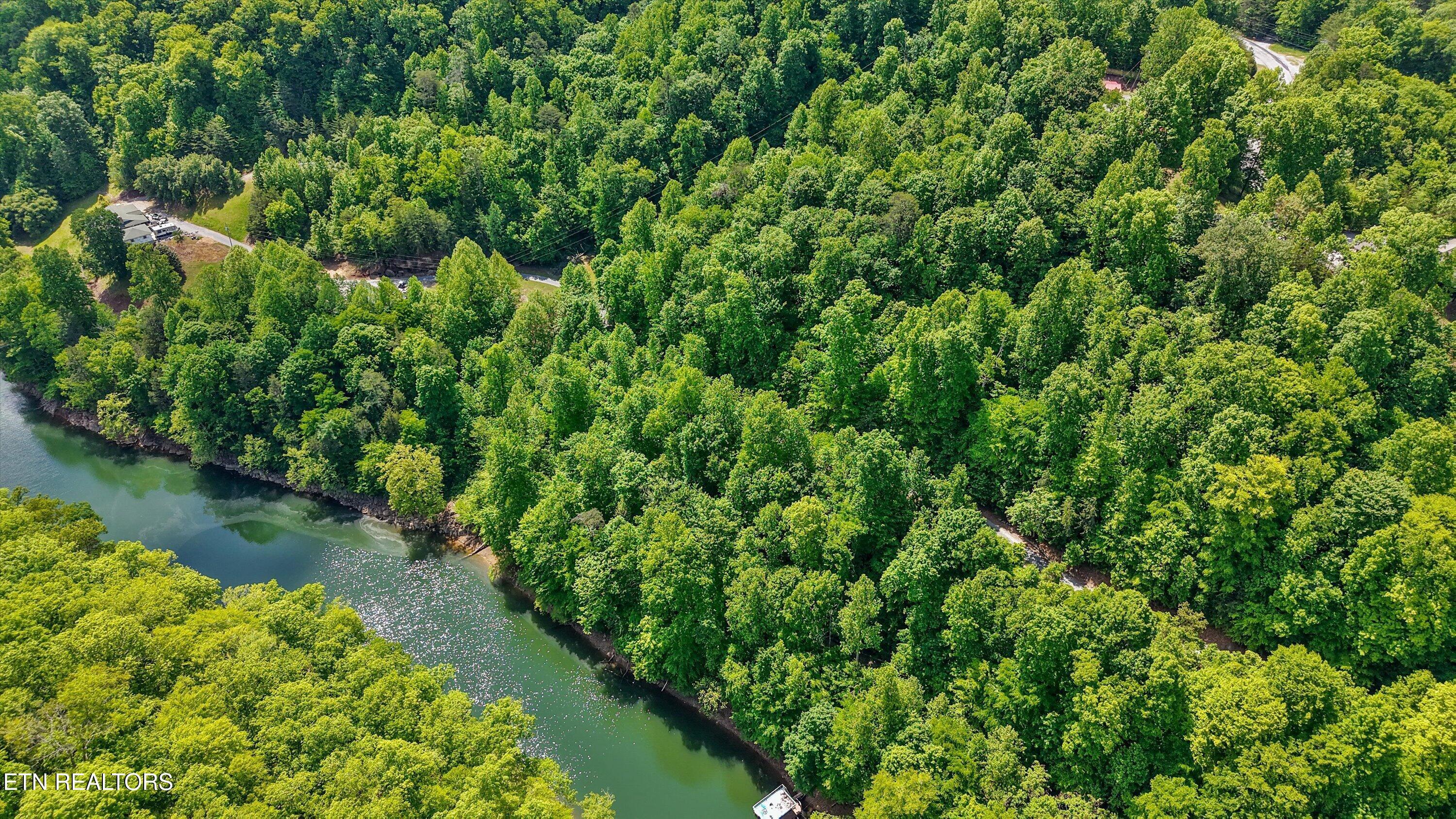 Norris Lake Real Estate - Image# 4
