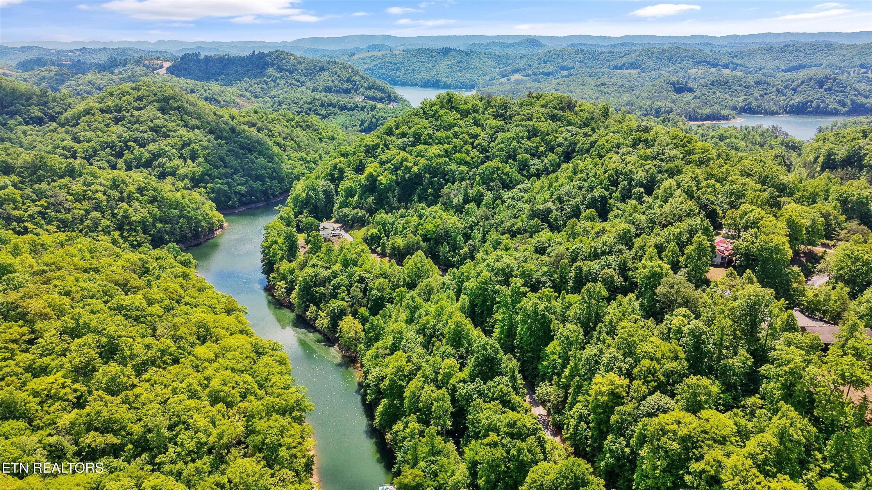 Norris Lake Real Estate - Image# 5