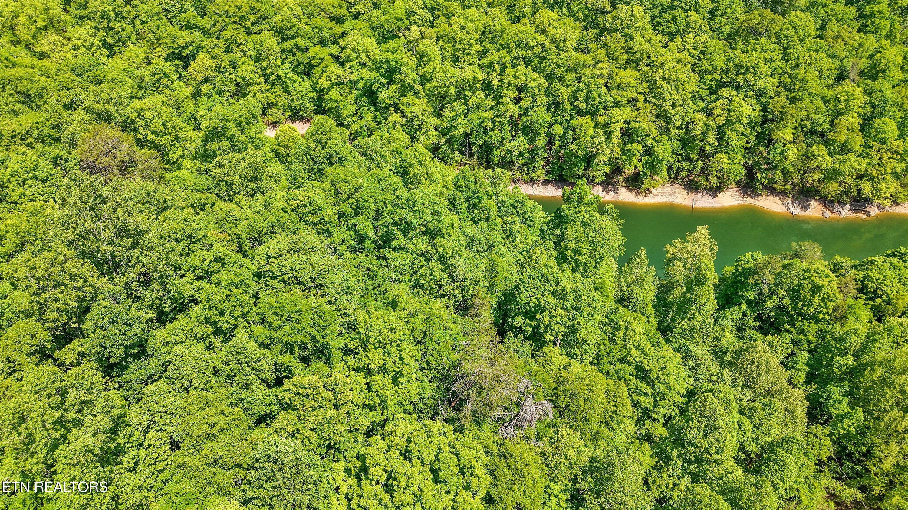 Norris Lake Real Estate - Image# 8