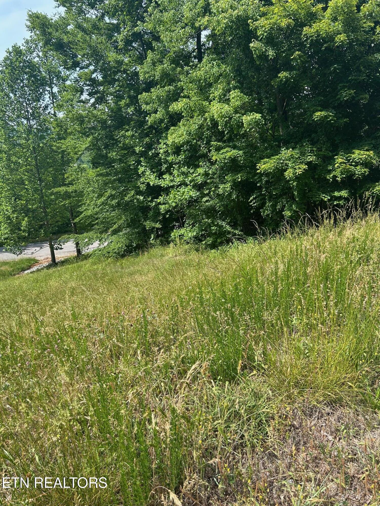 Norris Lake Real Estate - Image# 1