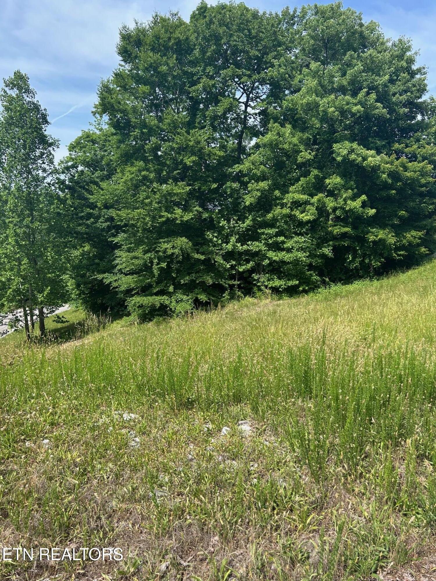 Norris Lake Real Estate - Image# 2