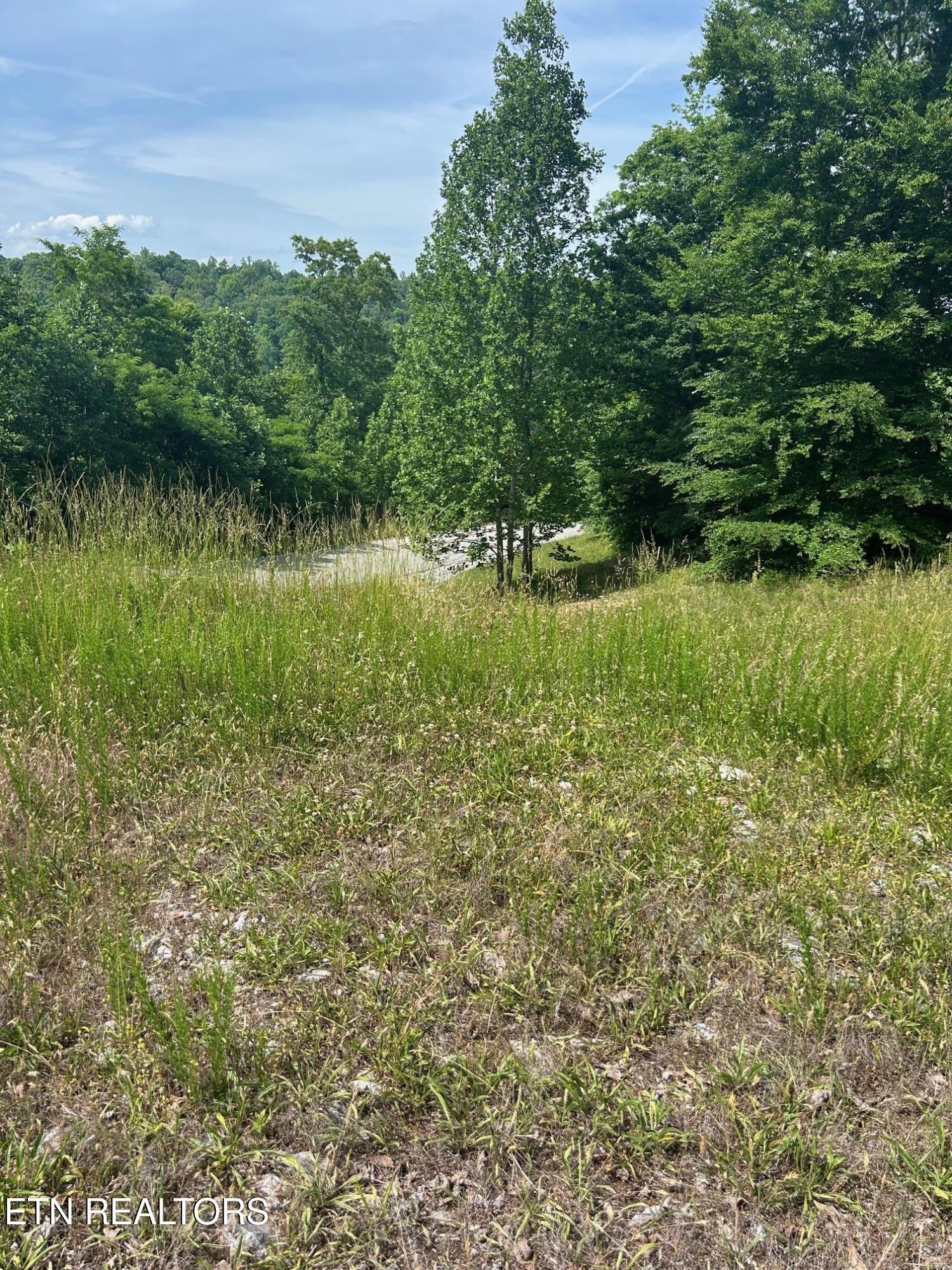Norris Lake Real Estate - Image# 3