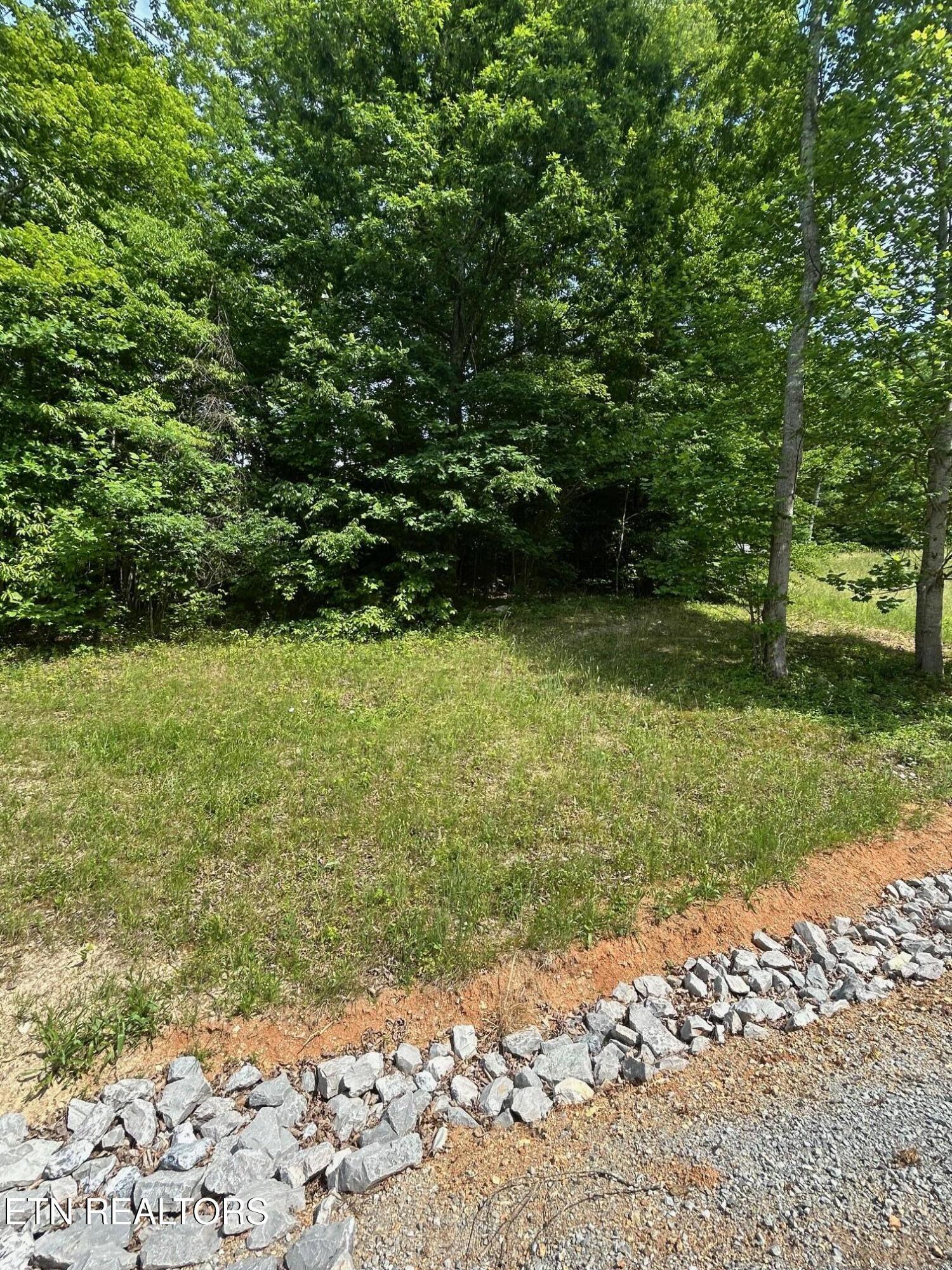 Norris Lake Real Estate - Image# 7