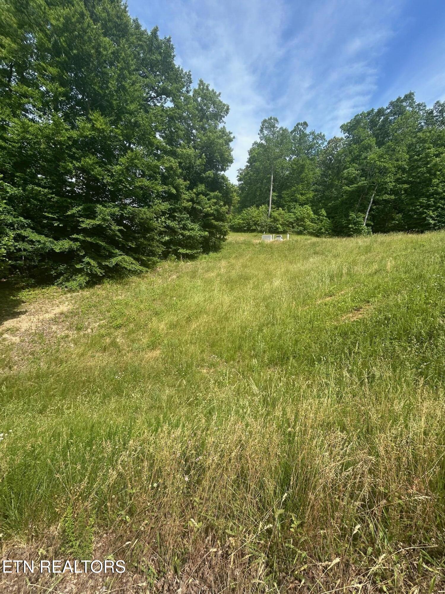 Norris Lake Real Estate - Image# 6